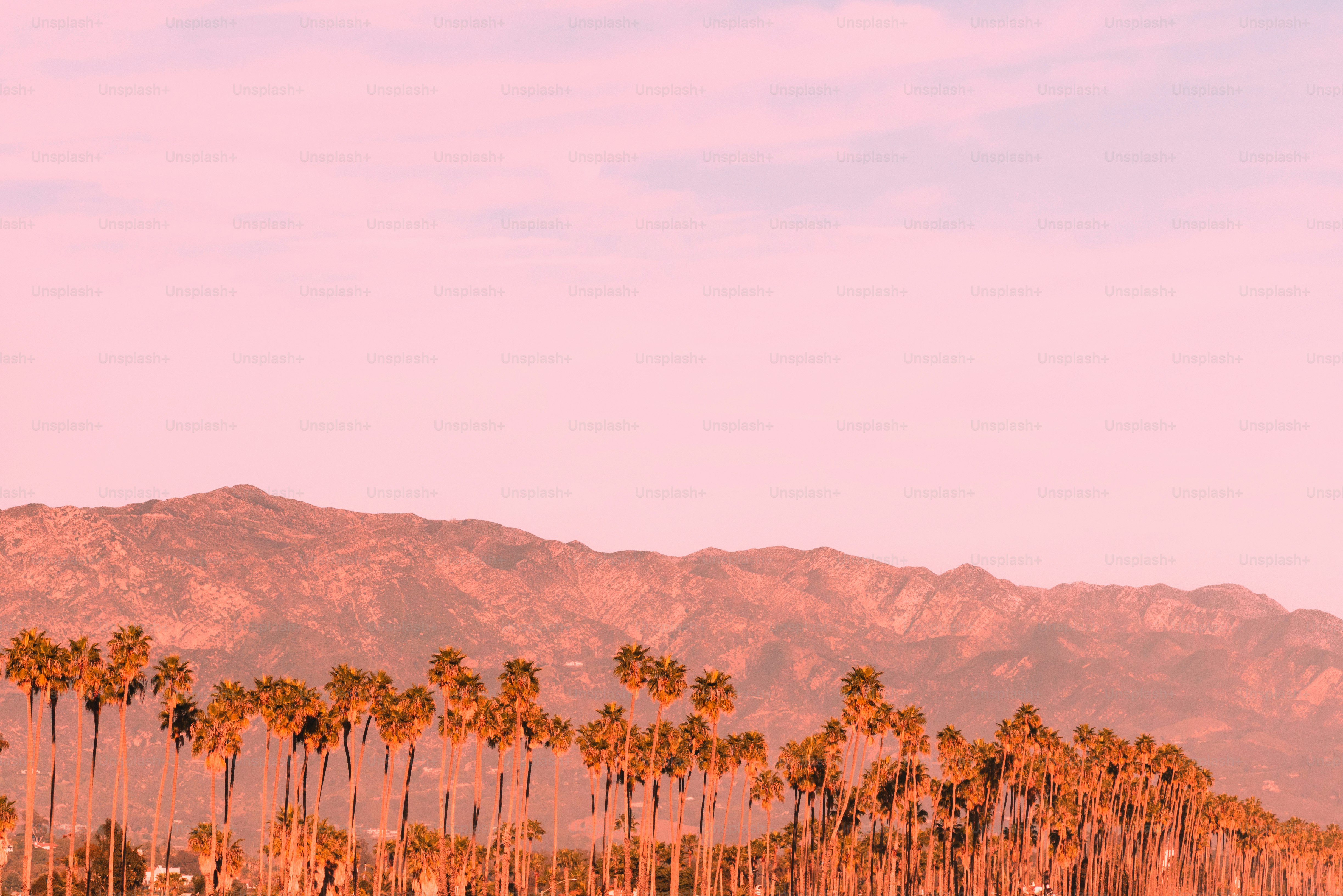 Paisagem desértica com montanhas e palmeiras.