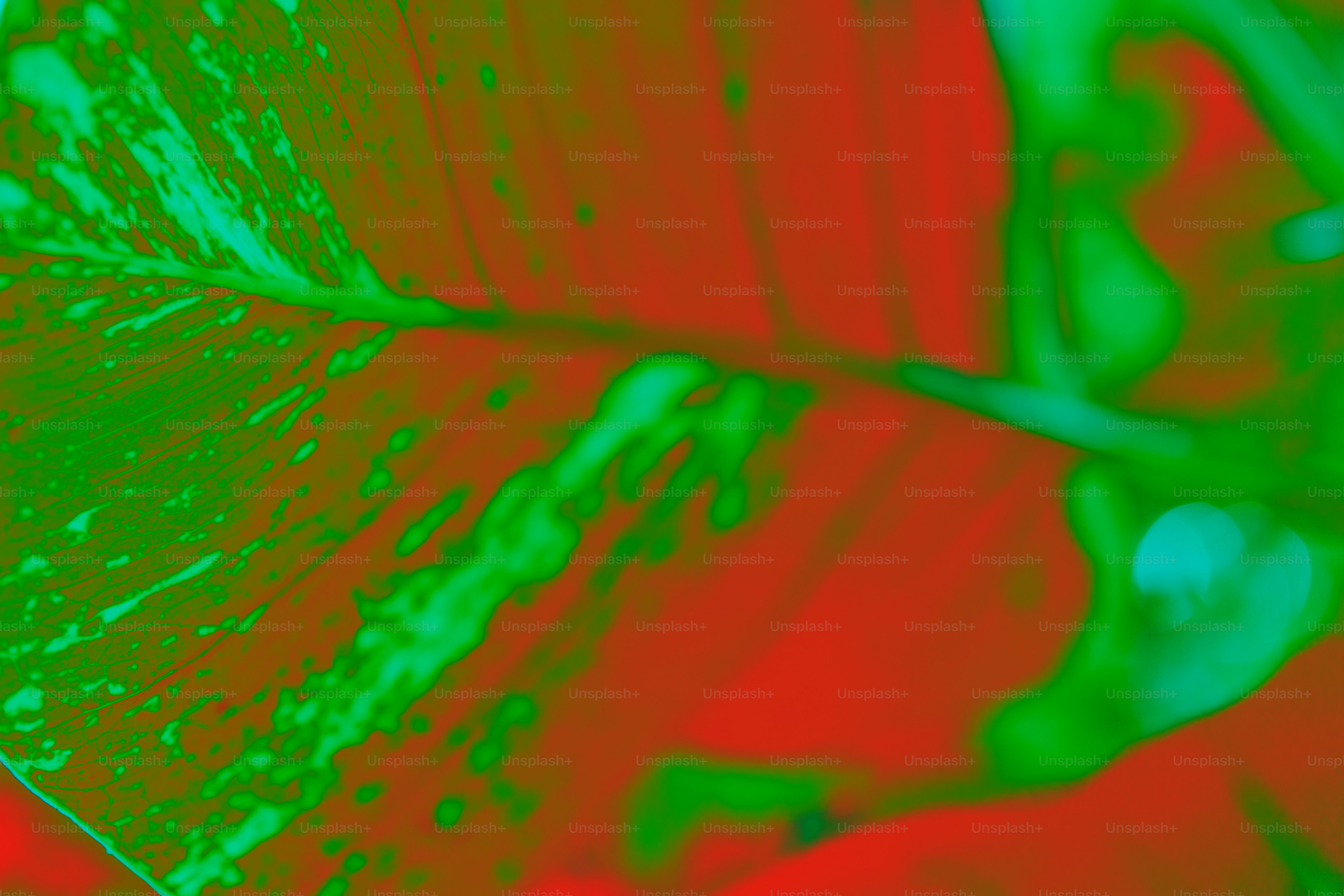 premium_photo-1755037088635-0ba02e522441?ixid=M3wxMjA3fDB8MXxzZWFyY2h8MTB8fGNvbXBsZXRlJTIwcnRwJTIwZGF0YWJhc2UlMjBmb3IlMjBwZyUyMHNvZnQlMjBzbG90c3xlbnwwfHx8fDE3NjAyOTcyNDF8MA\u0026ixlib=rb-4.1.0