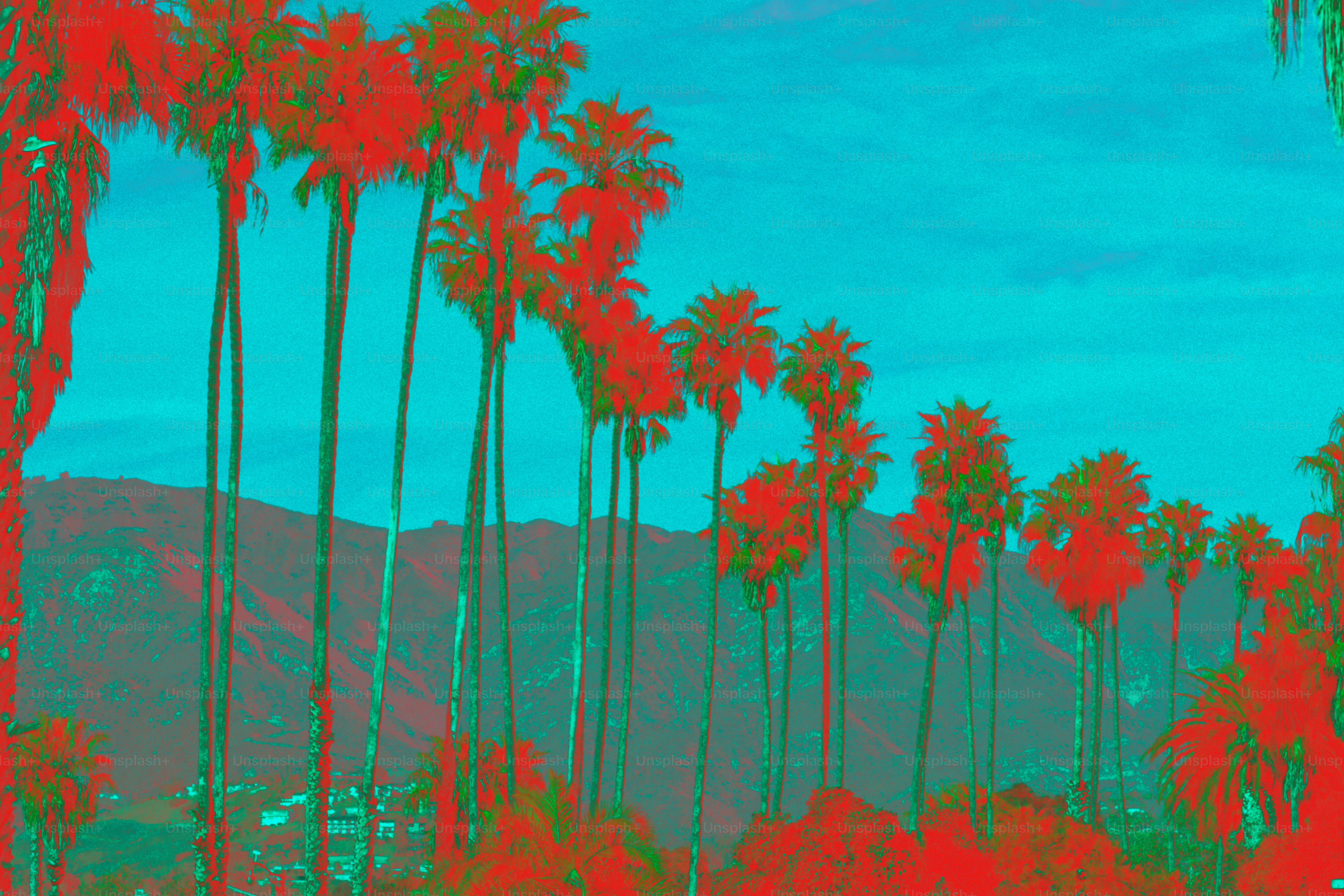 Palmeiras contra um céu azul brilhante