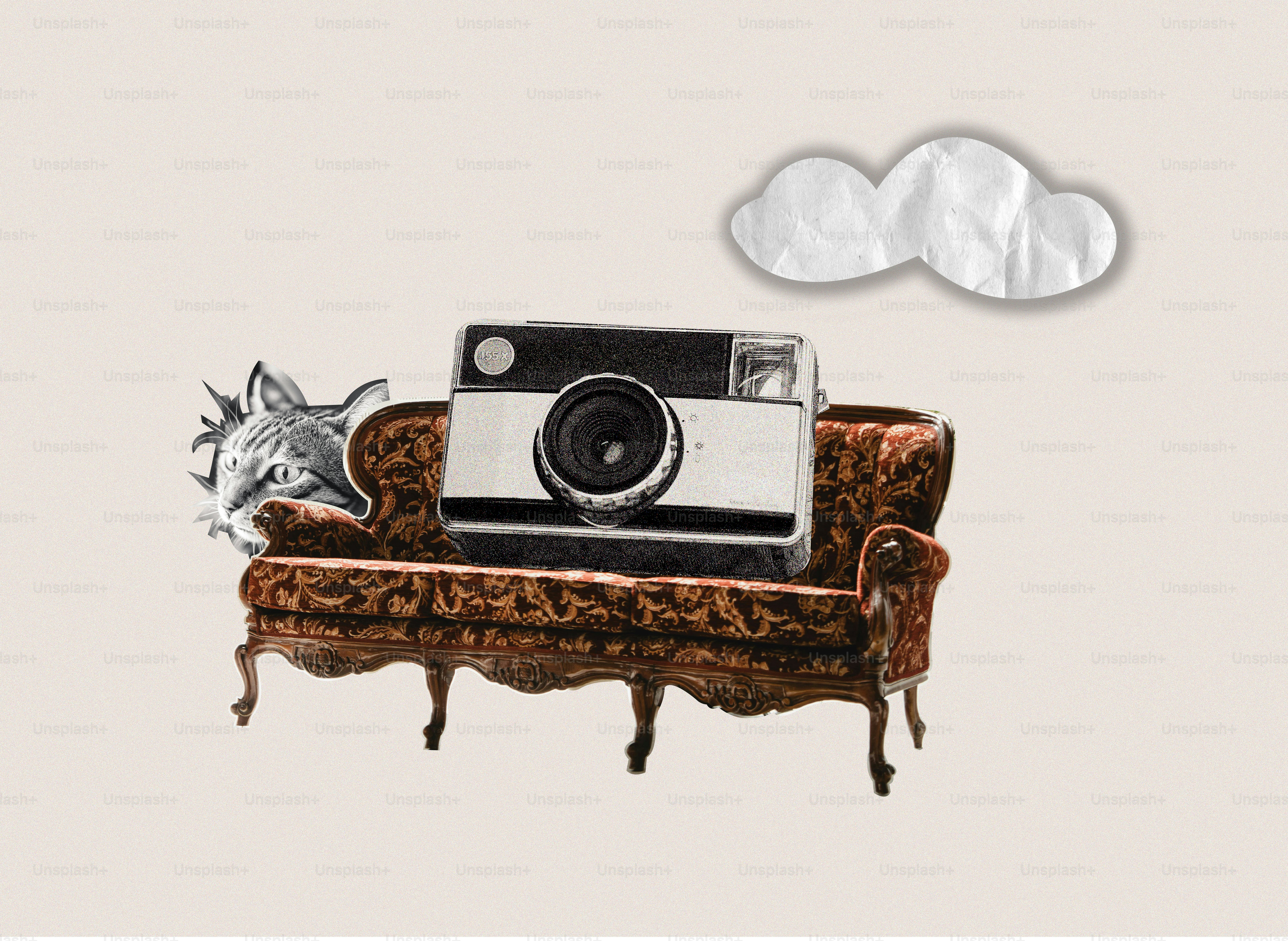 Camera on ornate sofa with fox and cloud