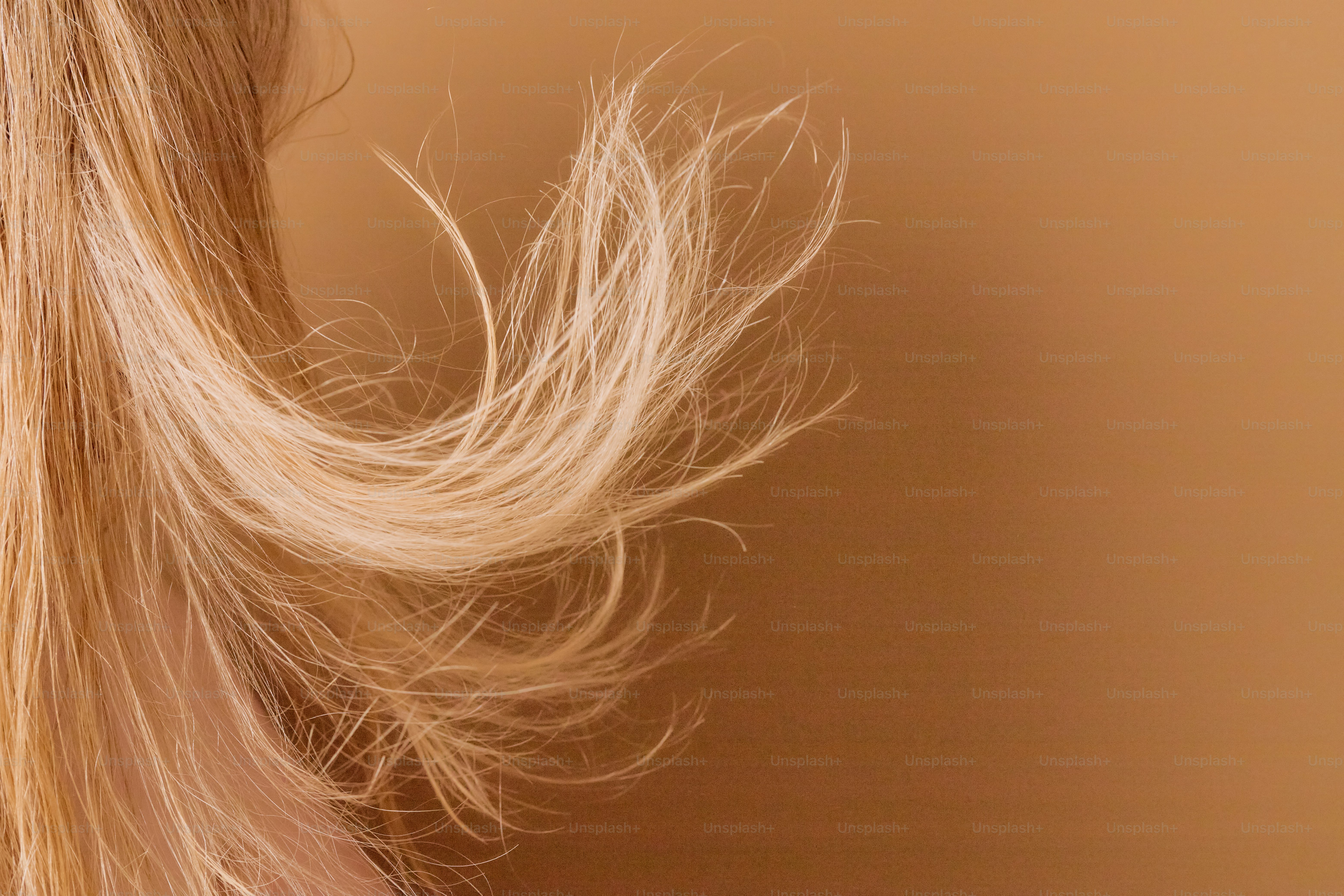 premium_photo-1755175472949-3c4ccd01eceb