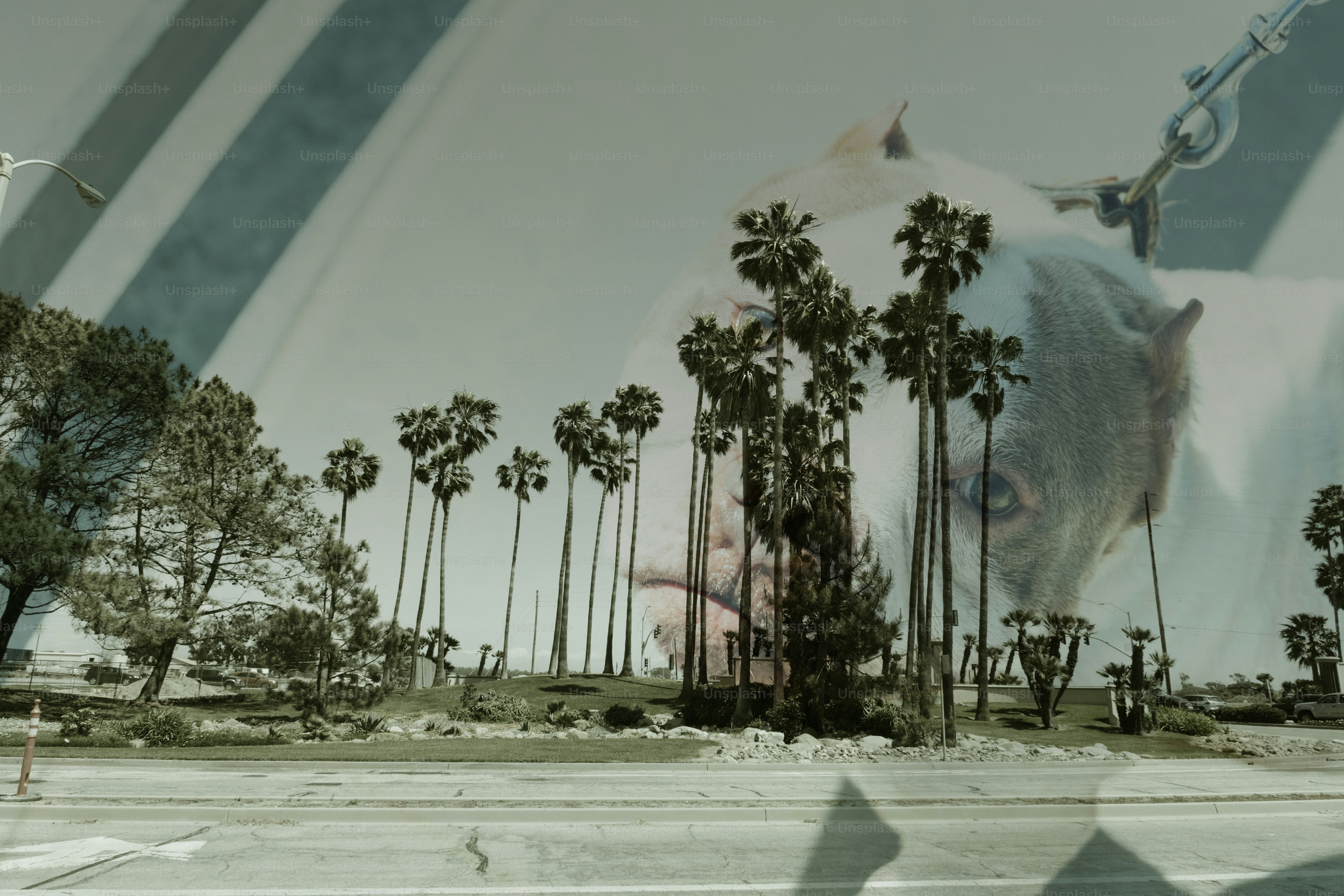 Giant white bull superimposed over palm trees and landscape.