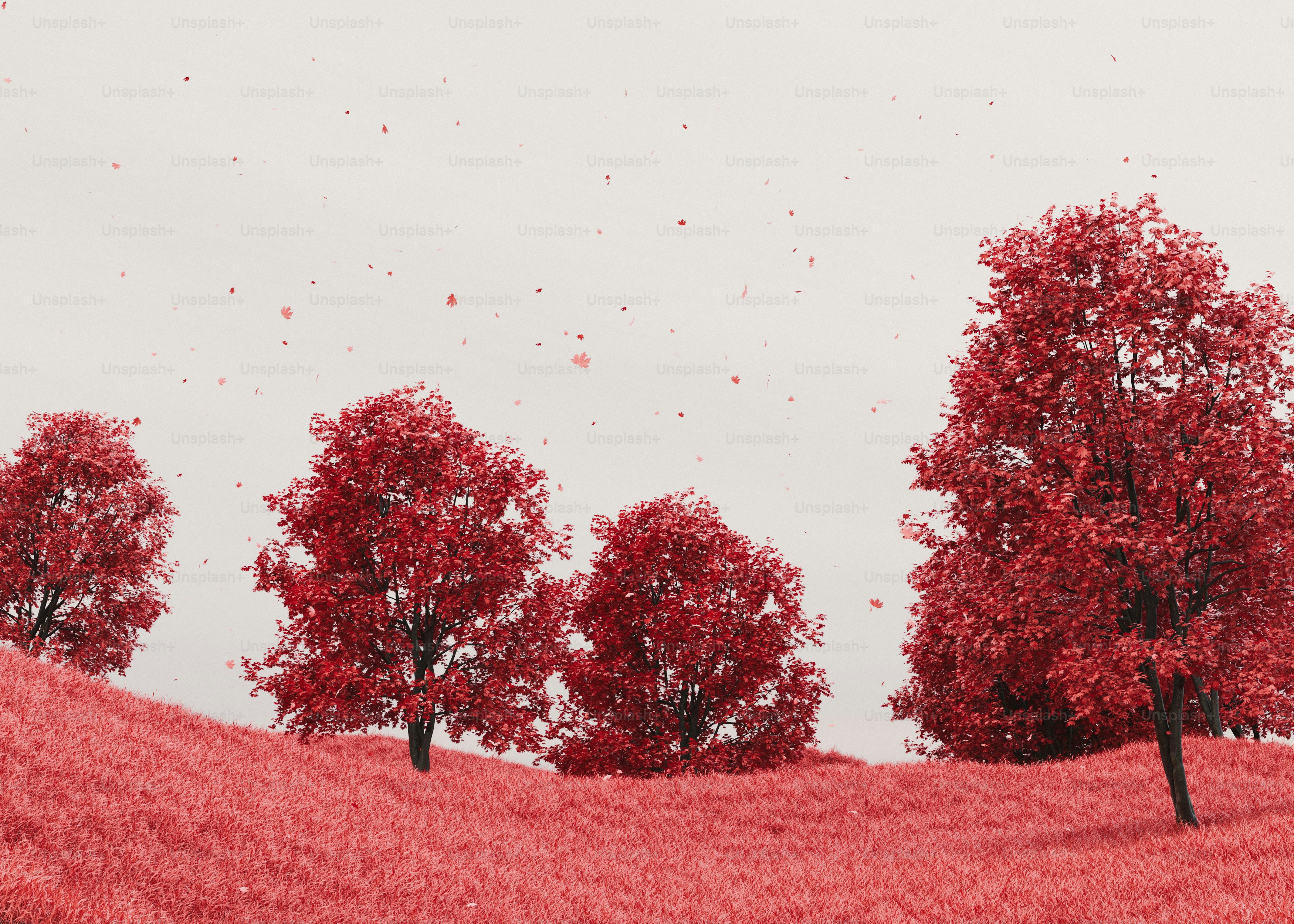 Des arbres rouges sur une colline rose sous un ciel blanc