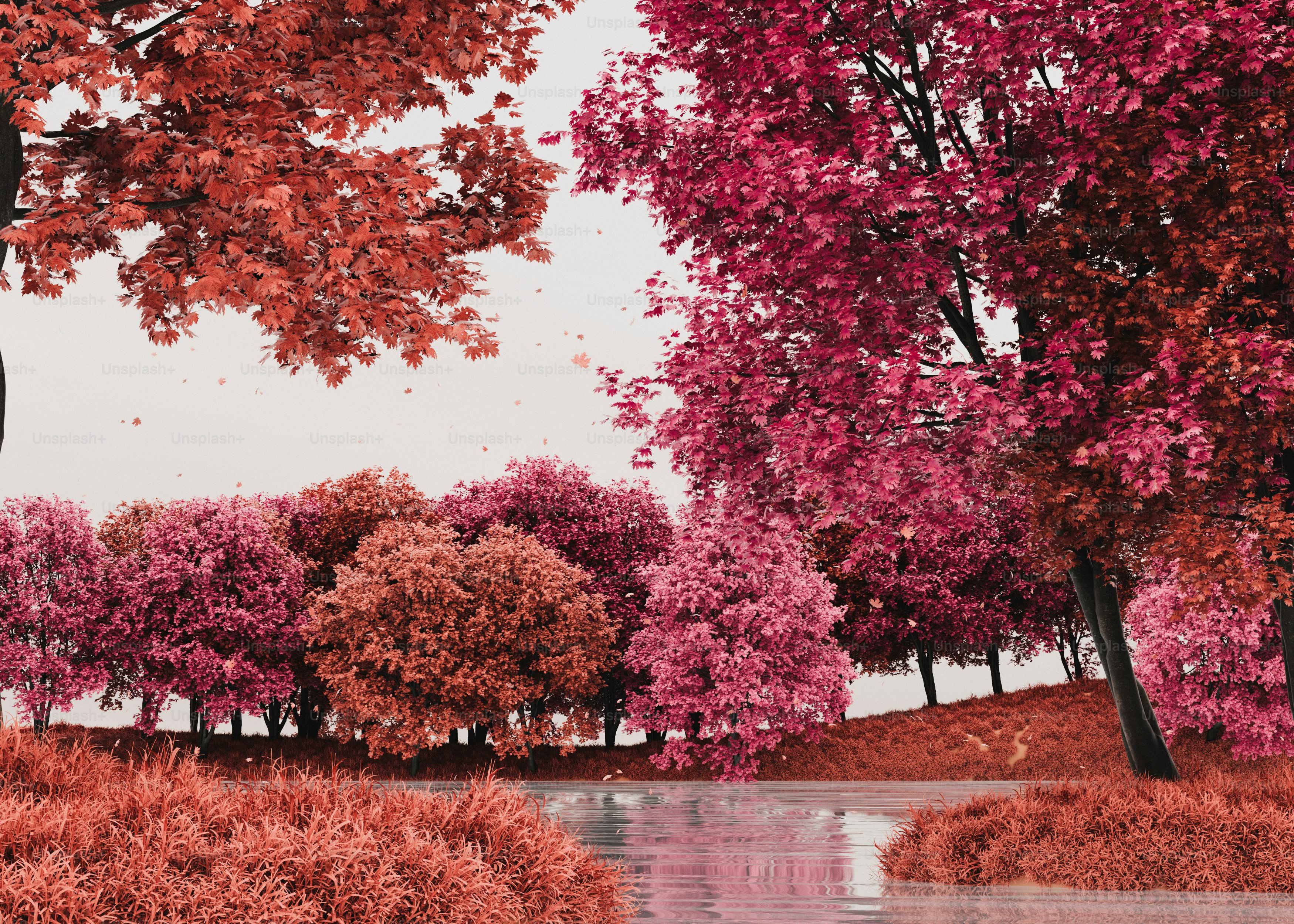 Des arbres roses et rouges se reflétant dans une eau calme