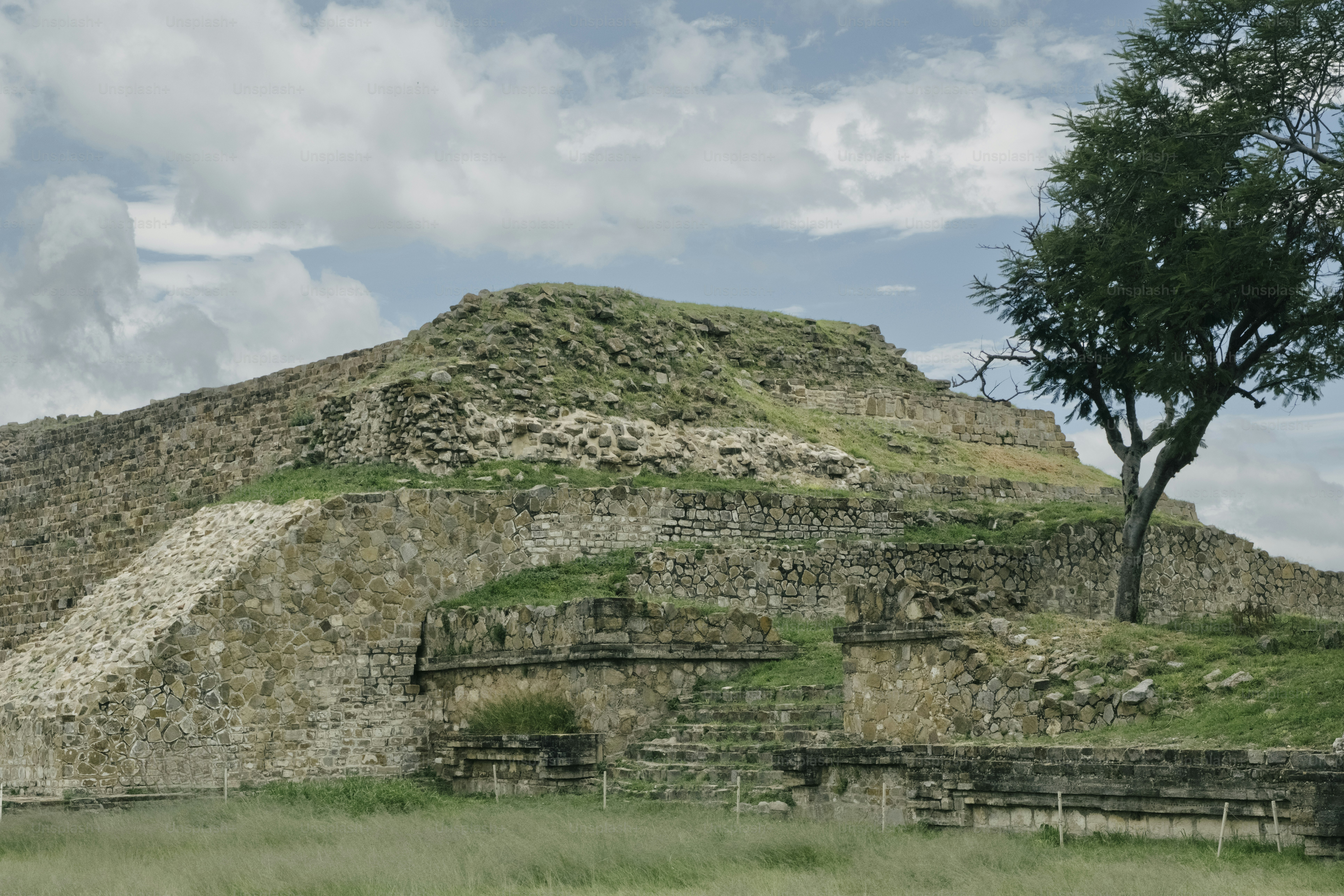 Ancient stone pyramid with a tree on the side.