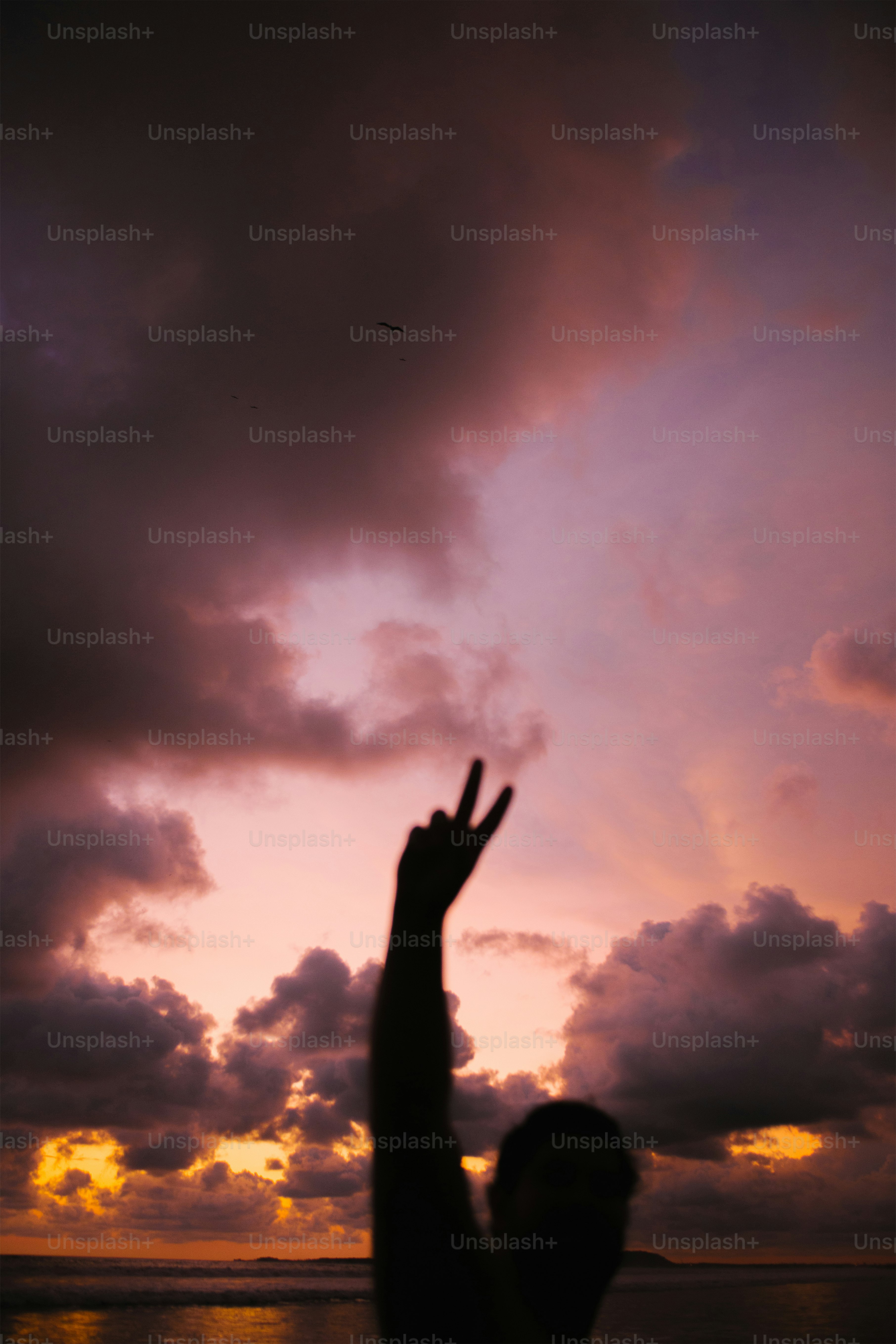 Silhouette of person with arms raised at sunset photo – Sunset Image on ...