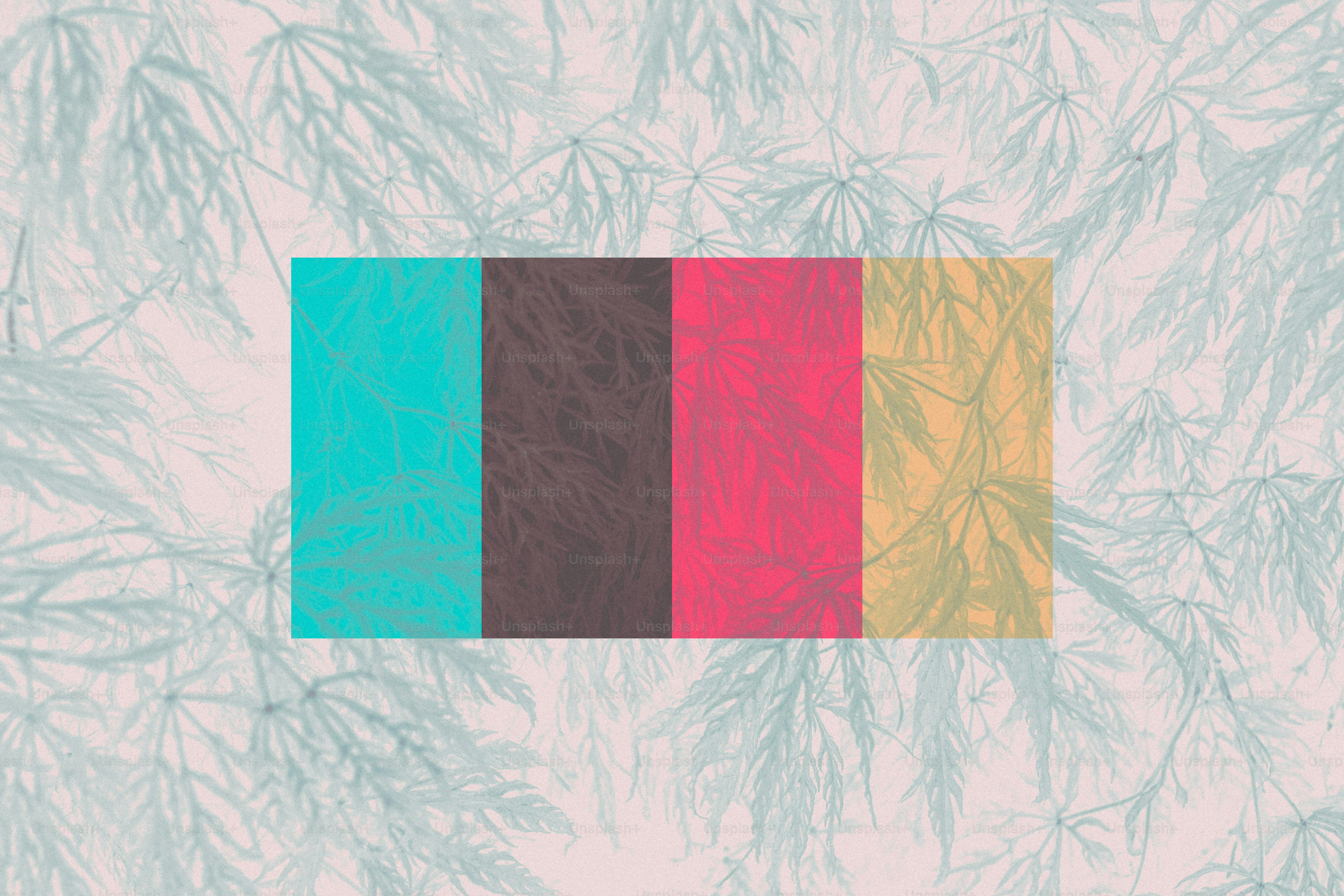 Quattro campioni di colore su uno sfondo floreale