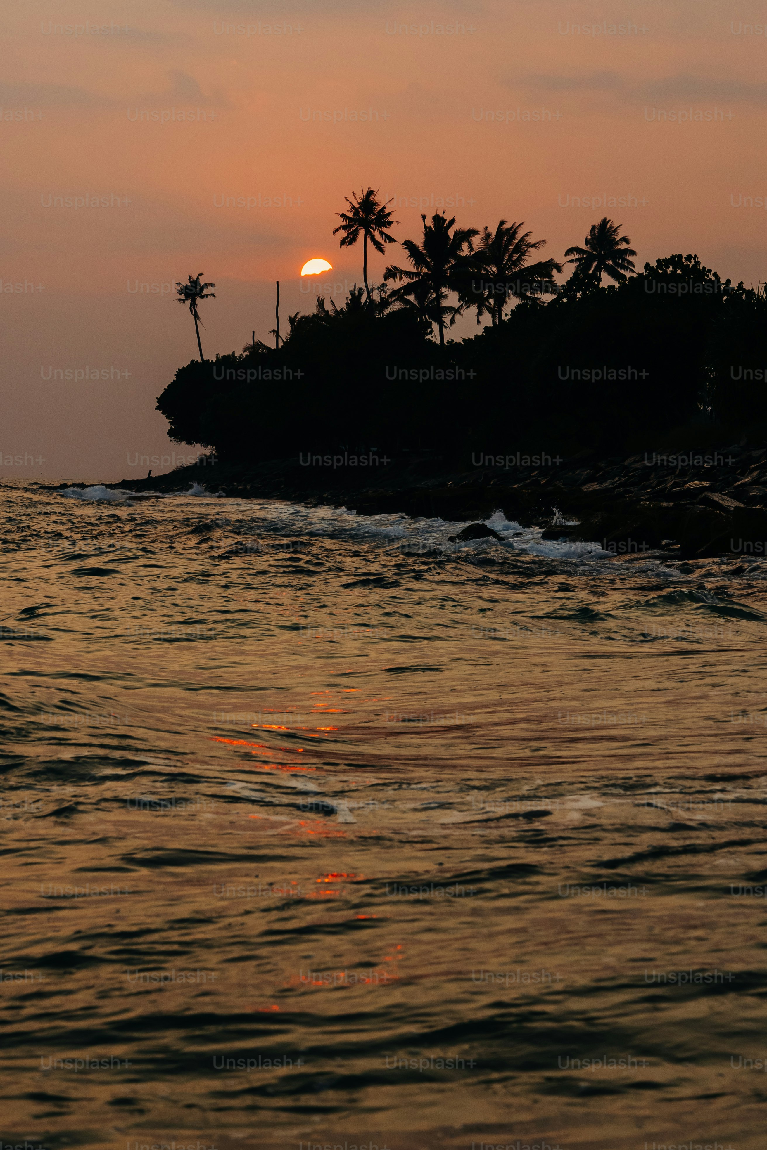 Silhueta tropical da ilha de encontro a um sol de ajuste