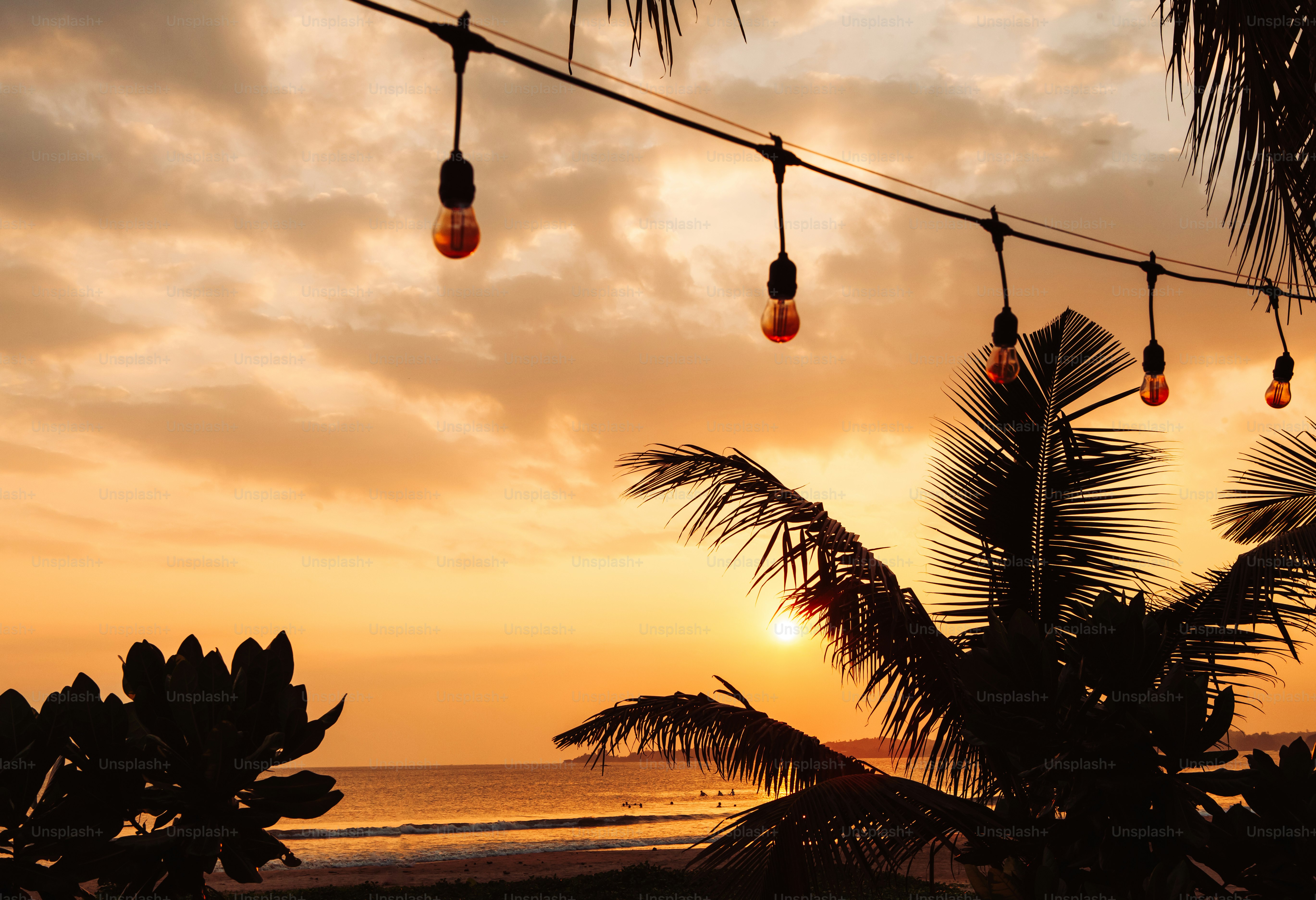 String lights and palm trees at sunset photo – Sunset Image on Unsplash