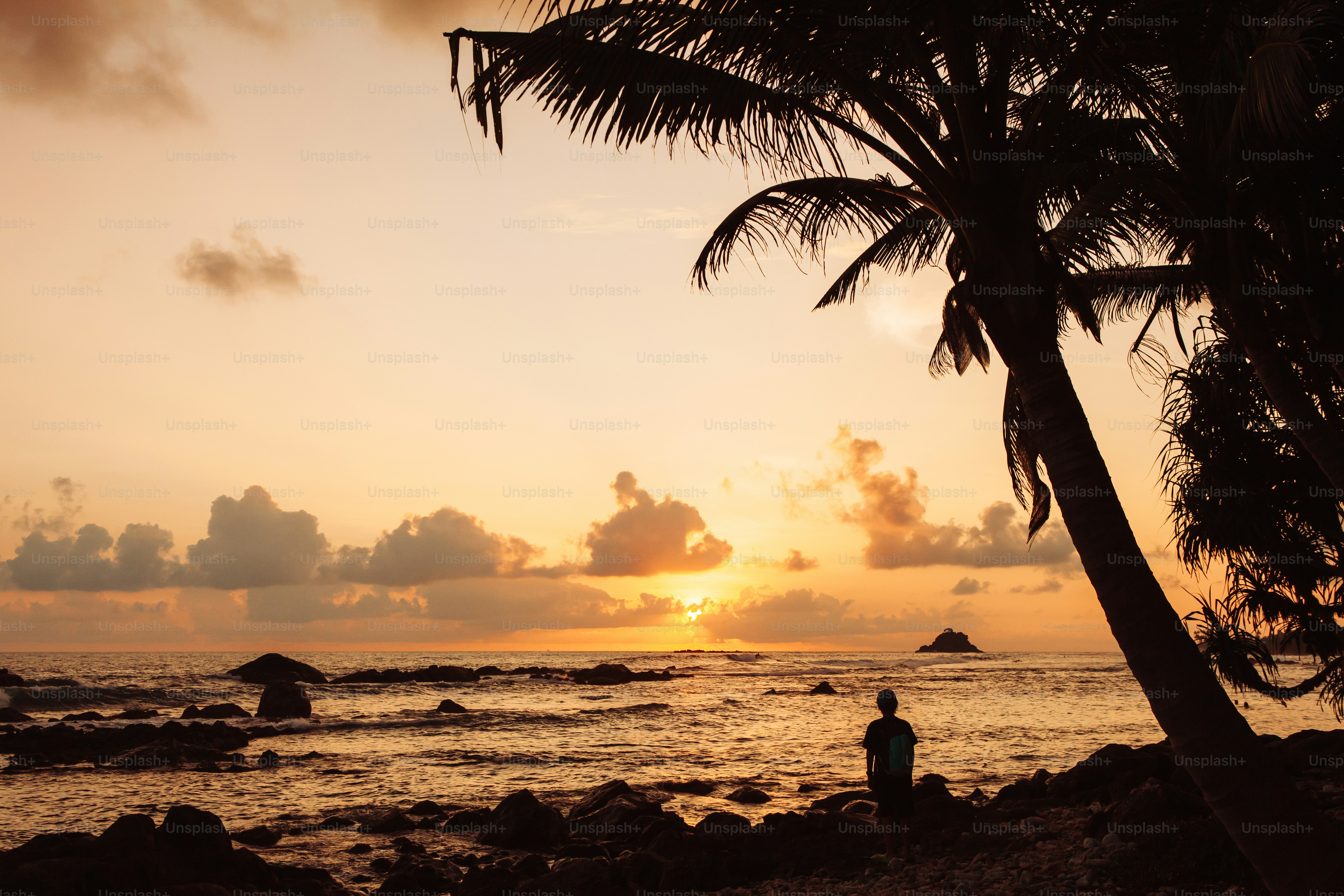 https://plus.unsplash.com/premium_photo-1755438042506-fc2b30df5fe7?fm=jpg&ixid=M3wxMjA3fDB8MHxwaG90by1yZWxhdGVkfDE1fHx8ZW58MHx8fHx8&ixlib=rb-4.1.0&q=60&w=3000