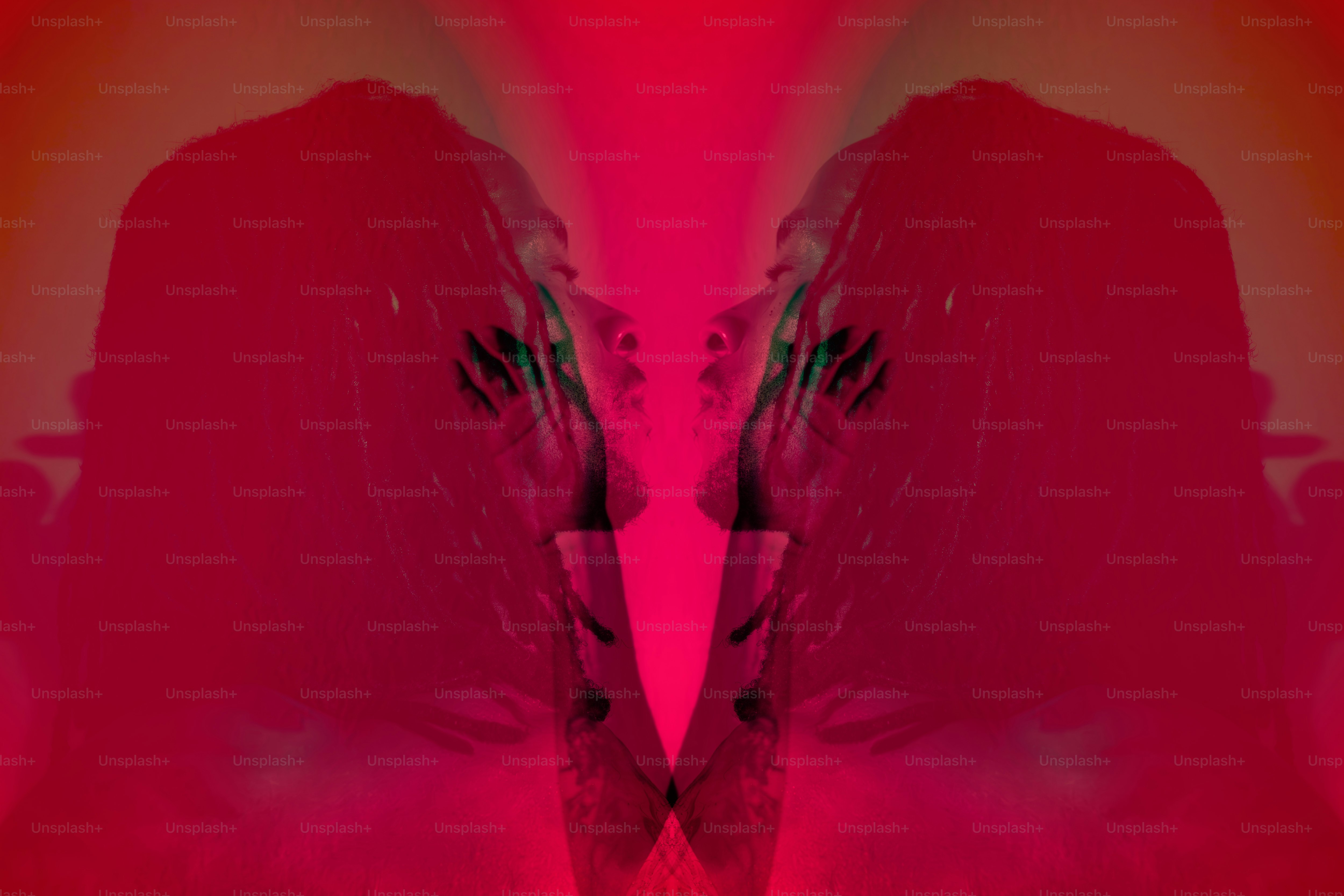 Two mirrored profiles against a vibrant red background