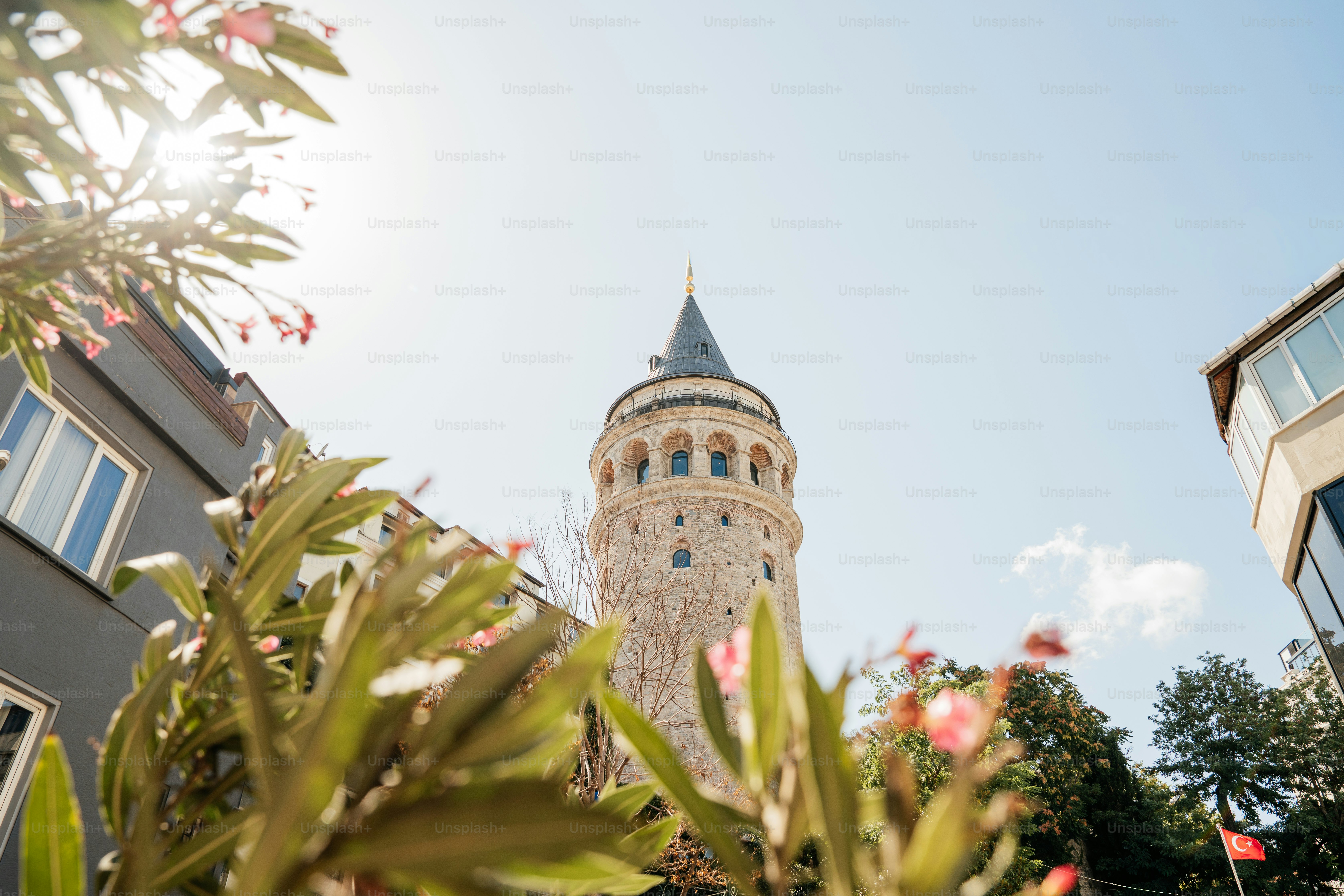 La torre di Galata vista tra i fiori e il fogliame in fiore