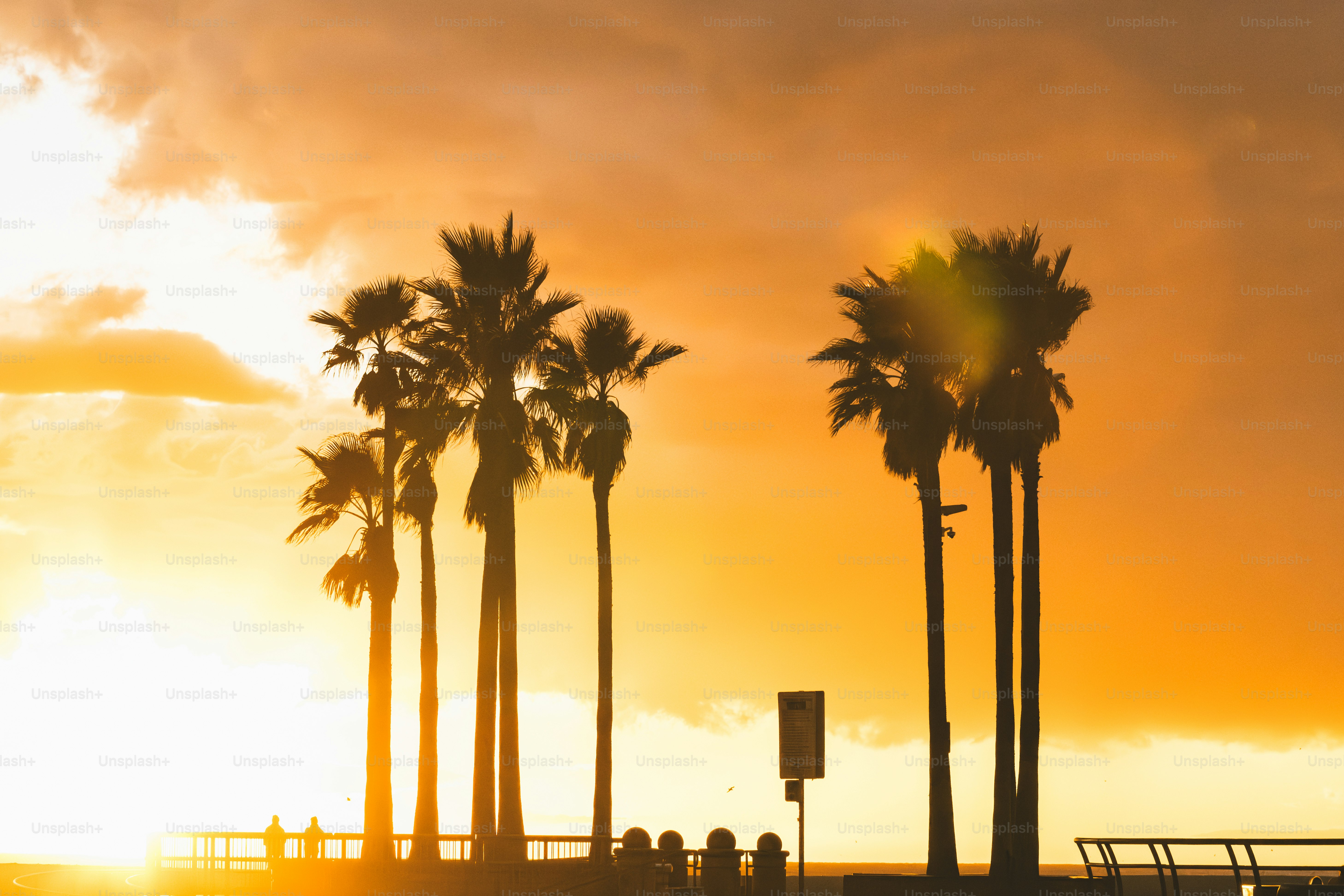 Le palme si stagliano contro un tramonto vibrante