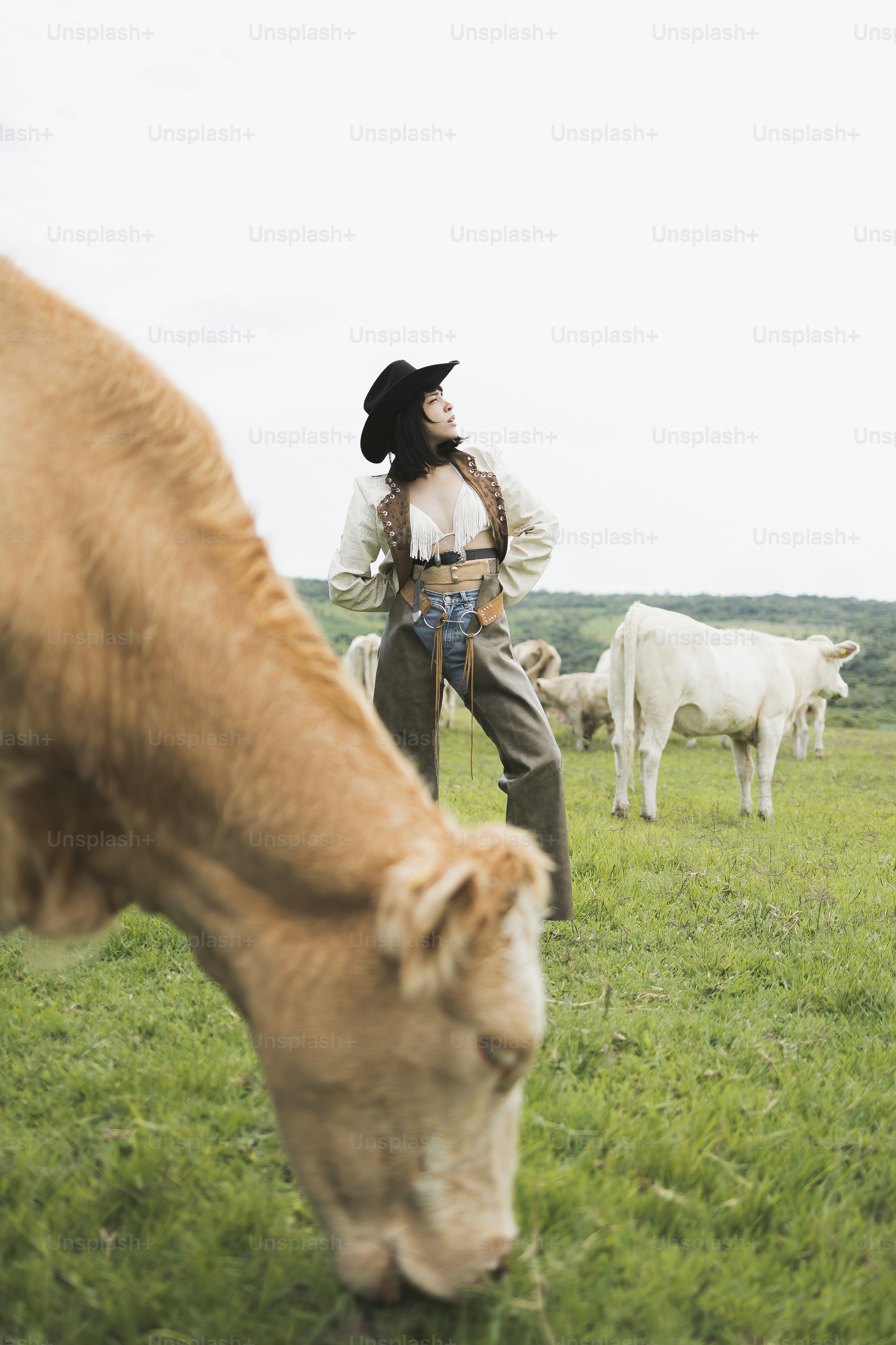 Femme en chapeau de cow-boy avec des vaches dans un champ