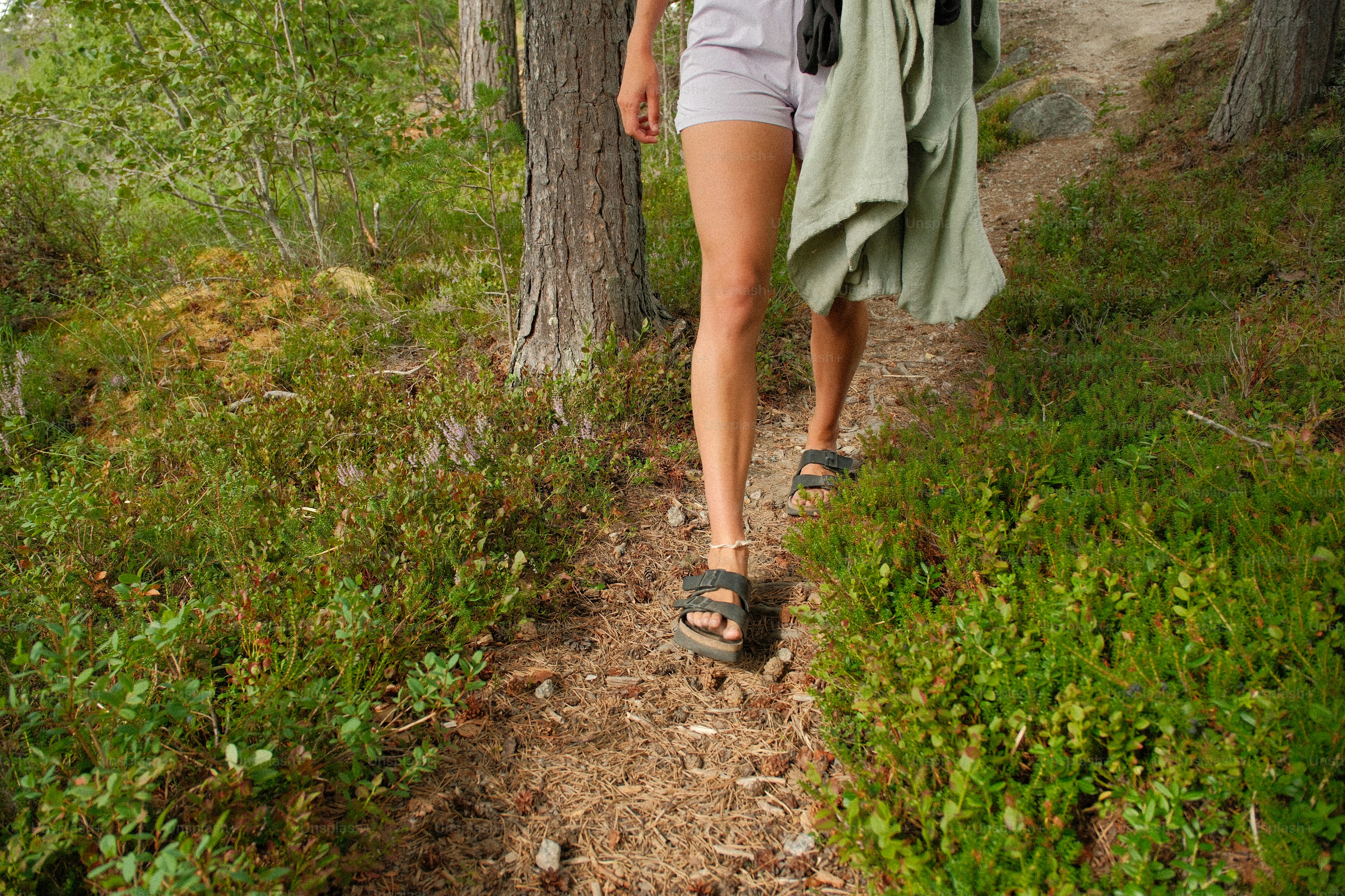 Person walking on a forest path