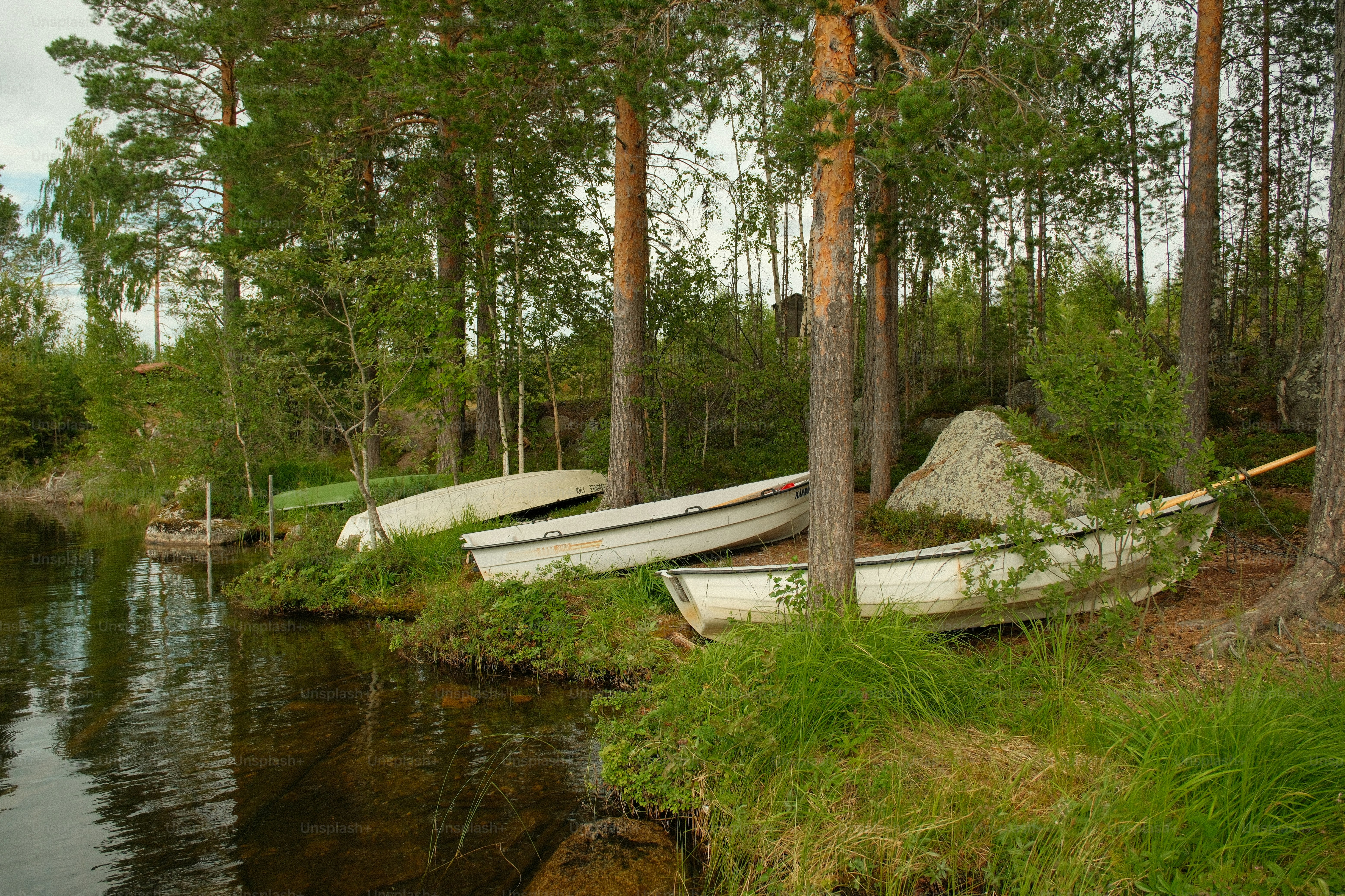 Several boats resting on a grassy shore near a lake.