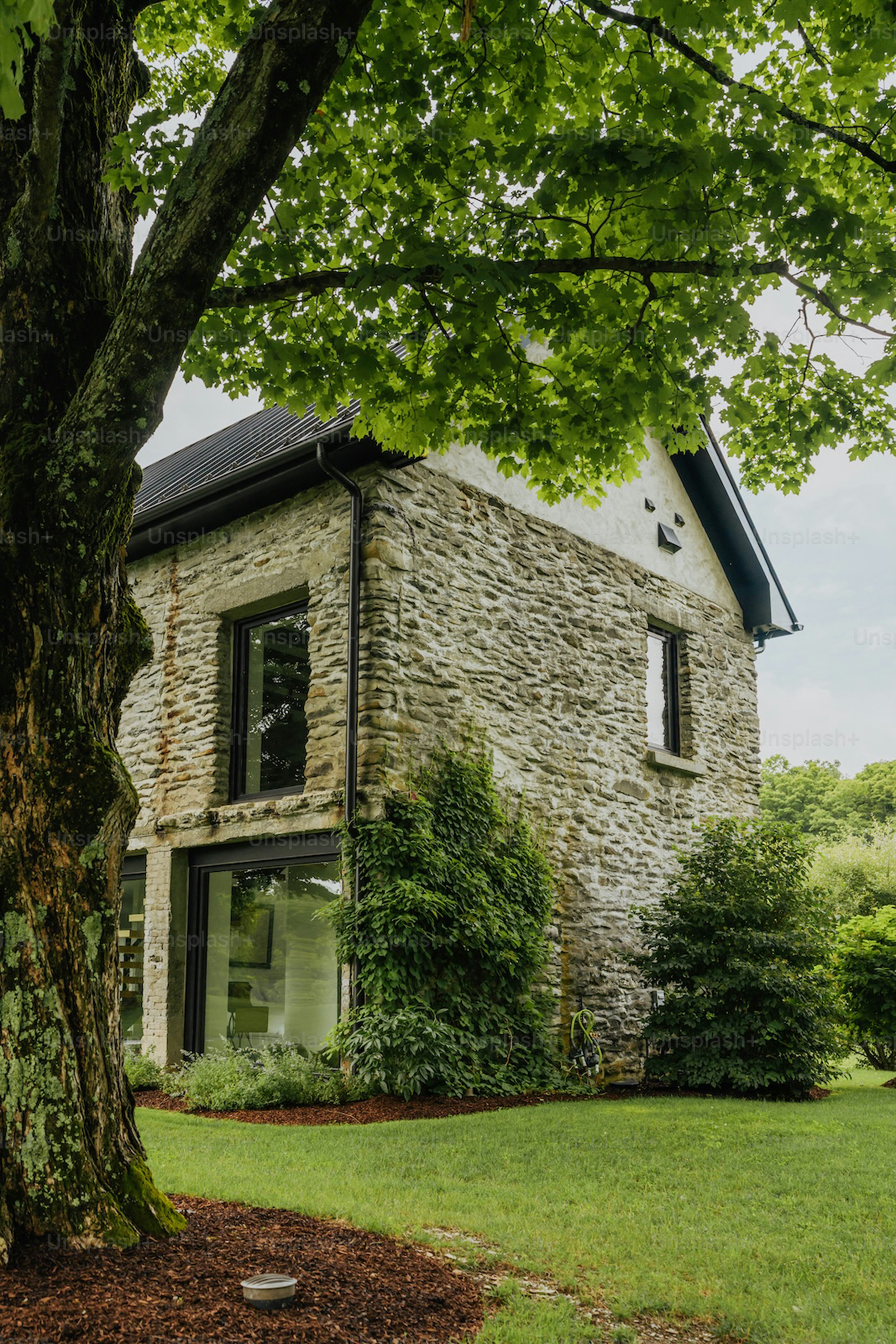 Stone house with modern windows surrounded by greenery