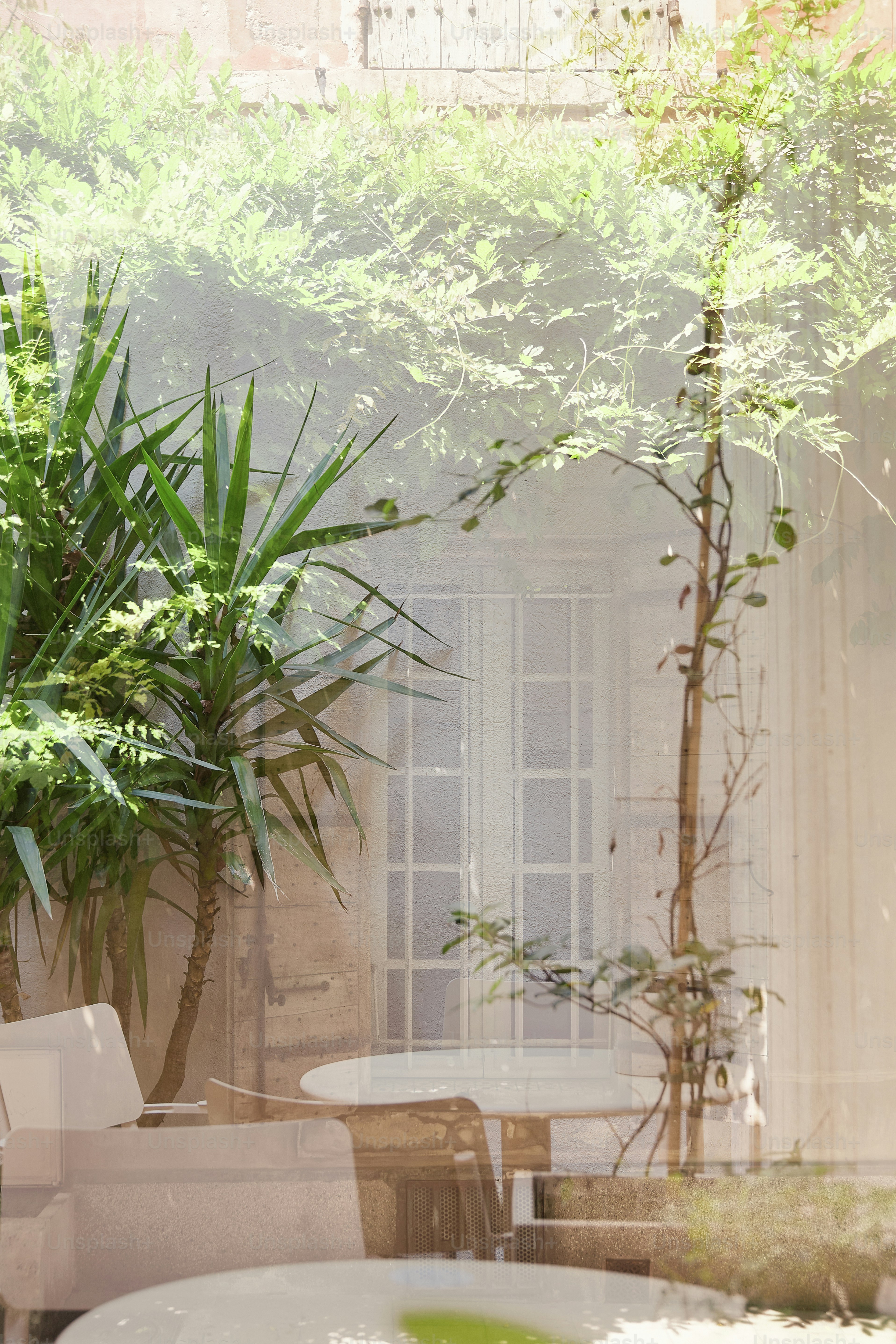 Outdoor patio with chairs and tables surrounded by plants photo ...