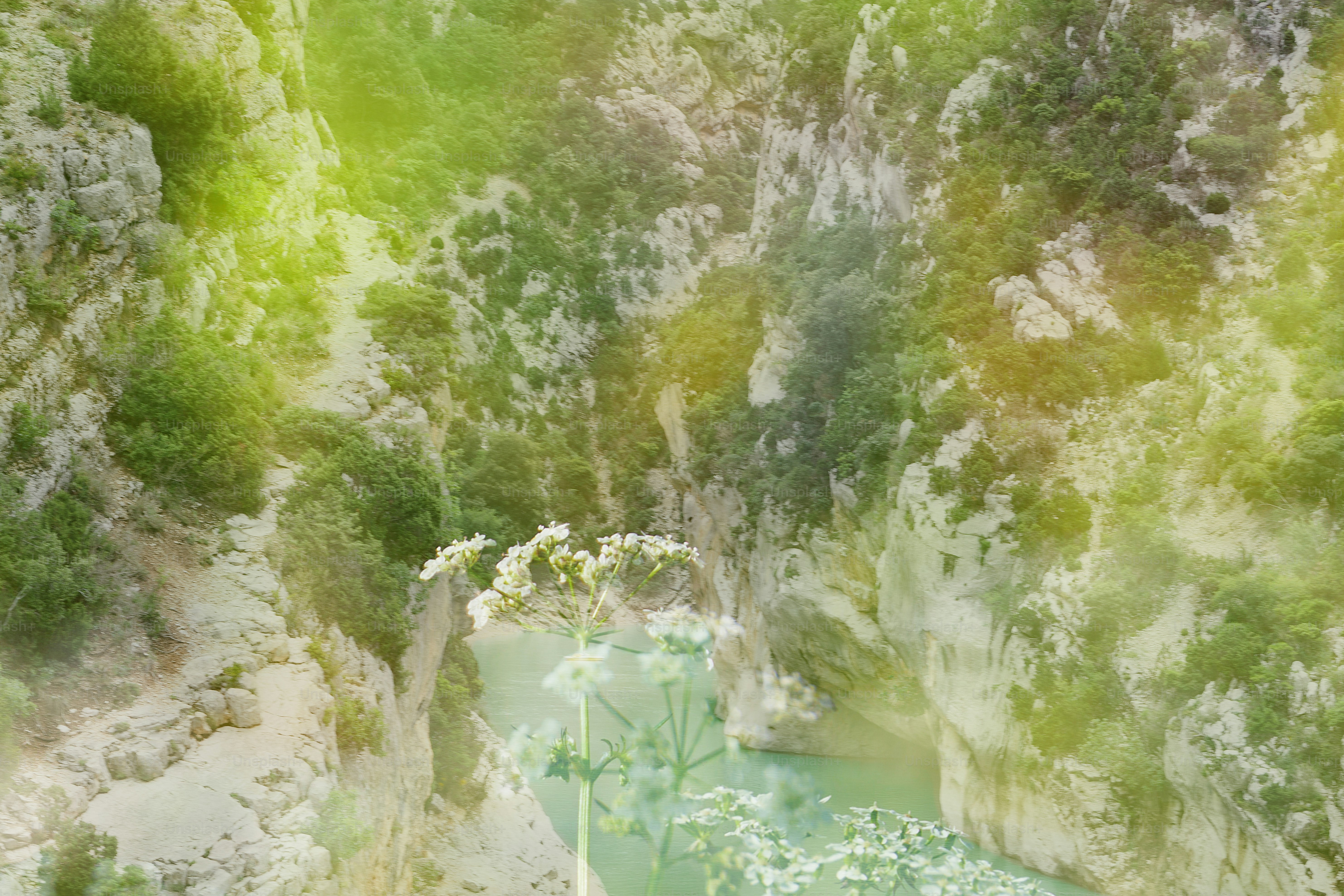 Lush green canyon with a small stream and sunlight.