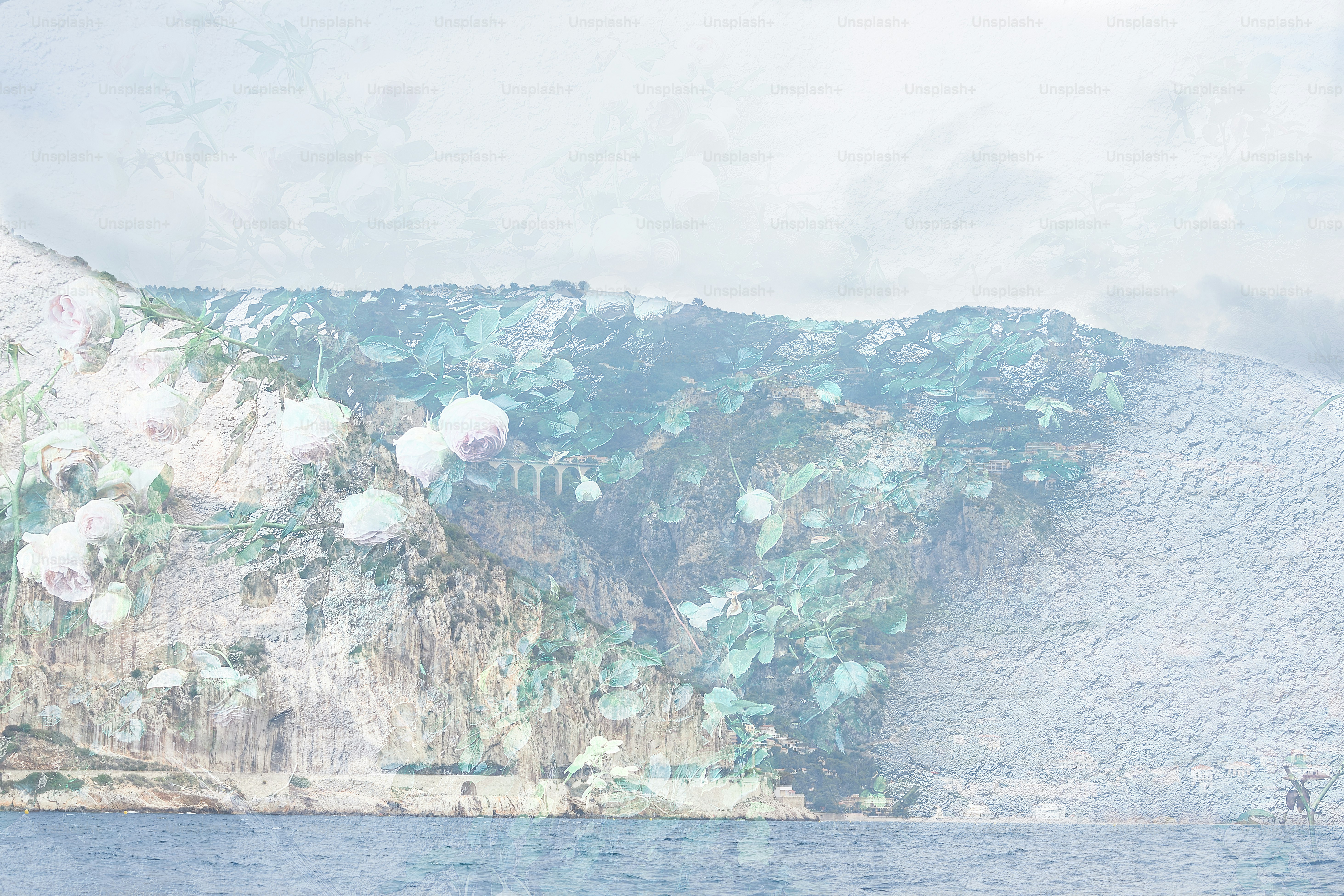 Coastal cliff with vegetation and flowers overlooking the sea.