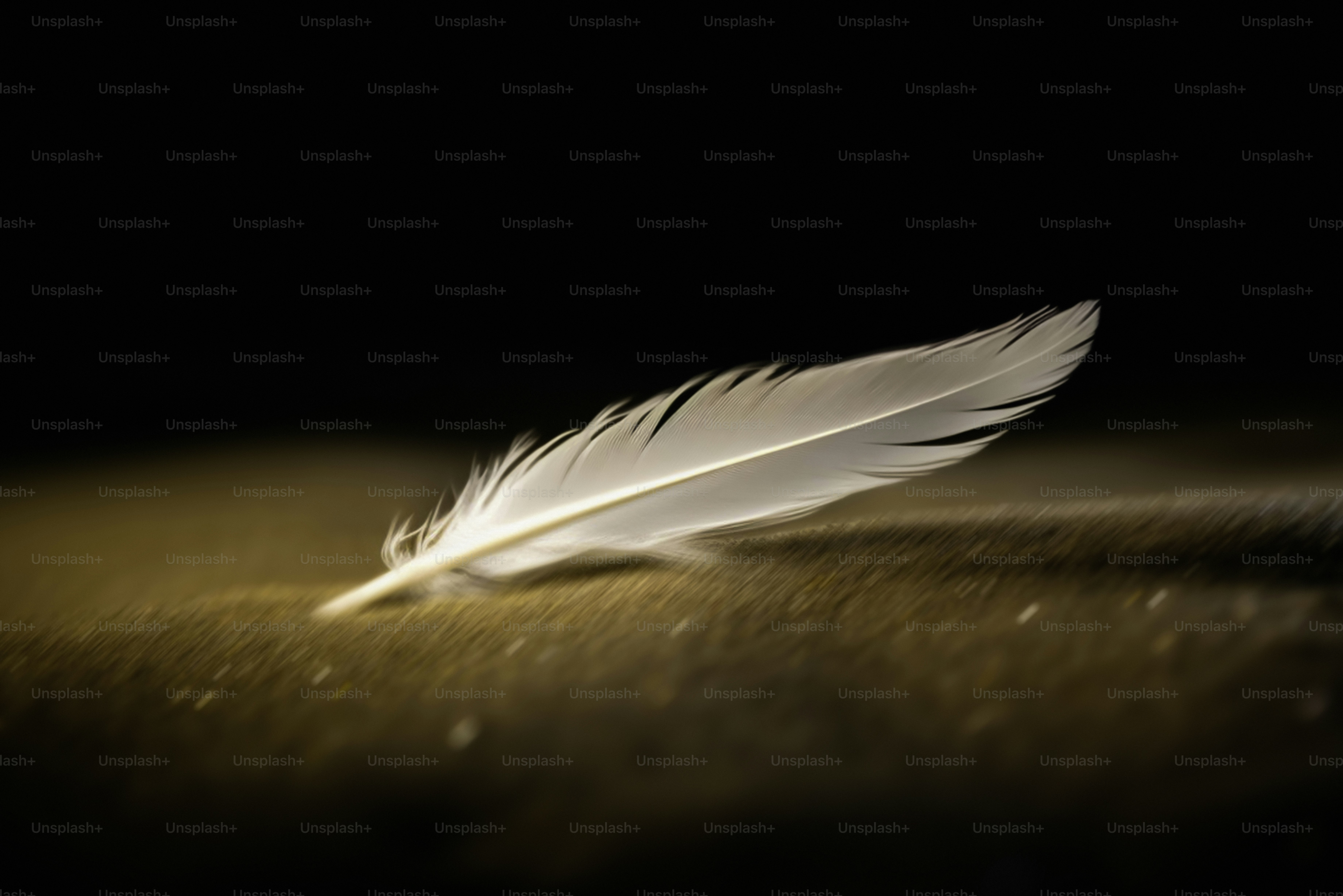 A single white feather rests on a textured surface.