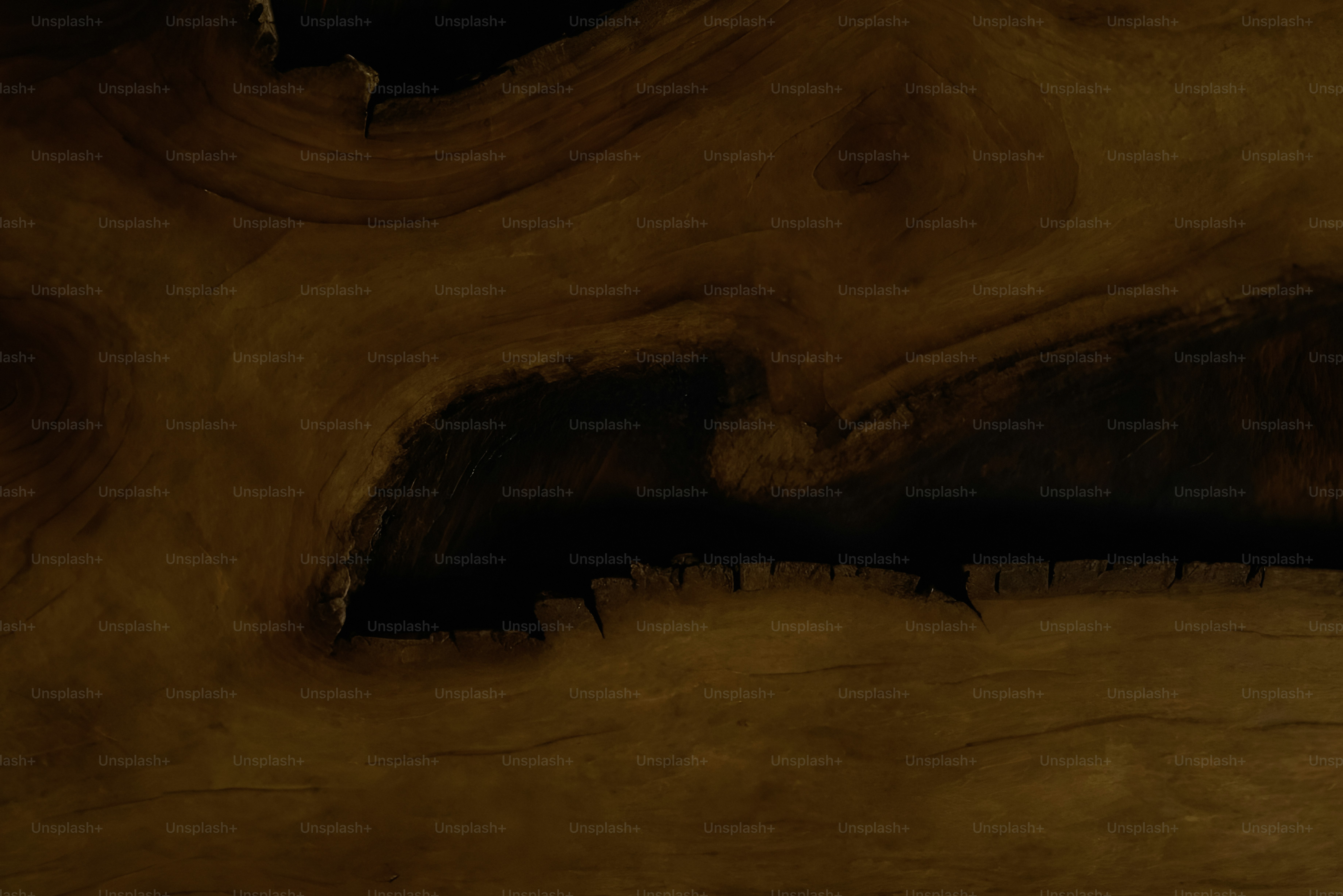 Close-up of natural wood grain with dark patterns