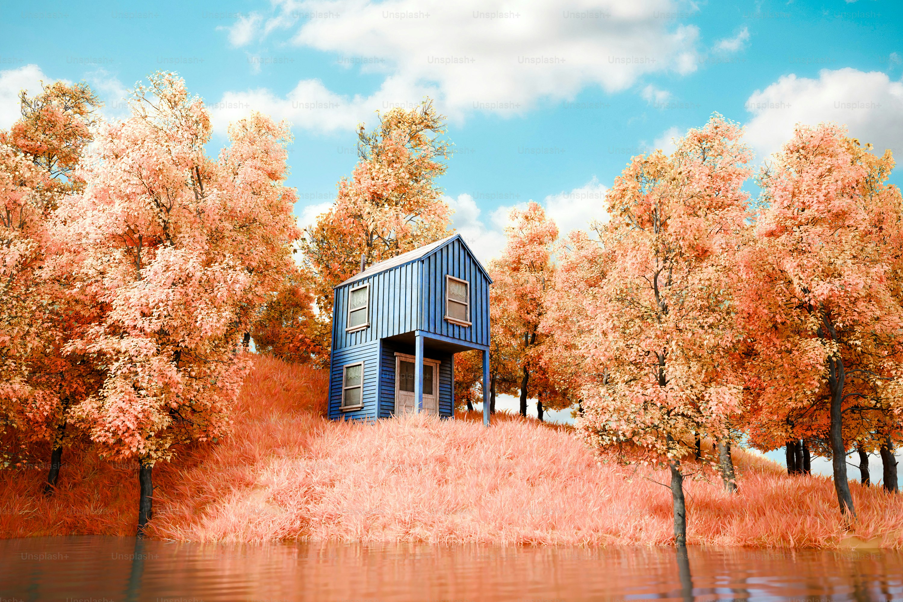 Casa blu circondata da alberi di corallo vicino all'acqua