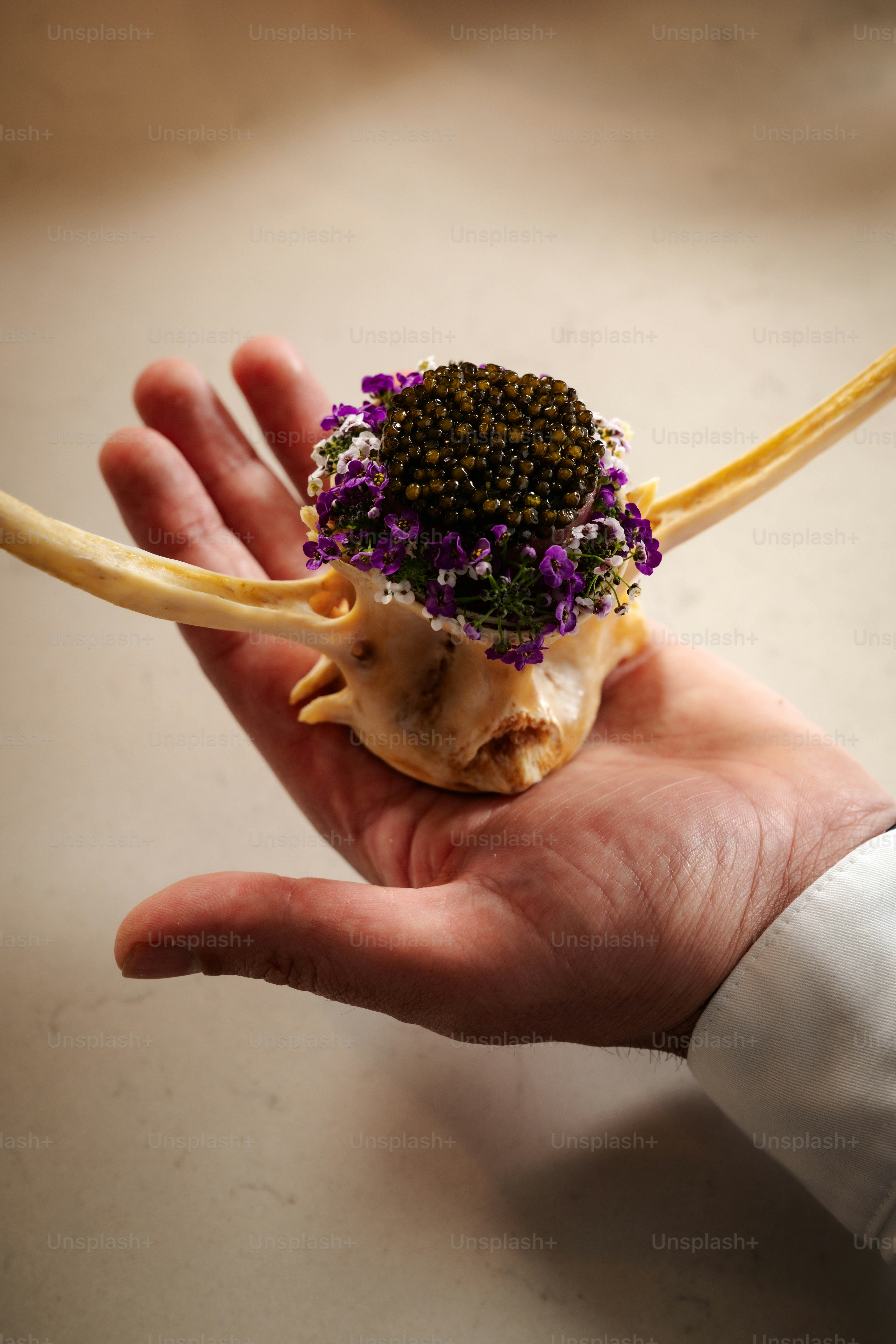Die Hand hält Knochen, die mit Kaviar und Blumen geschmückt sind.
