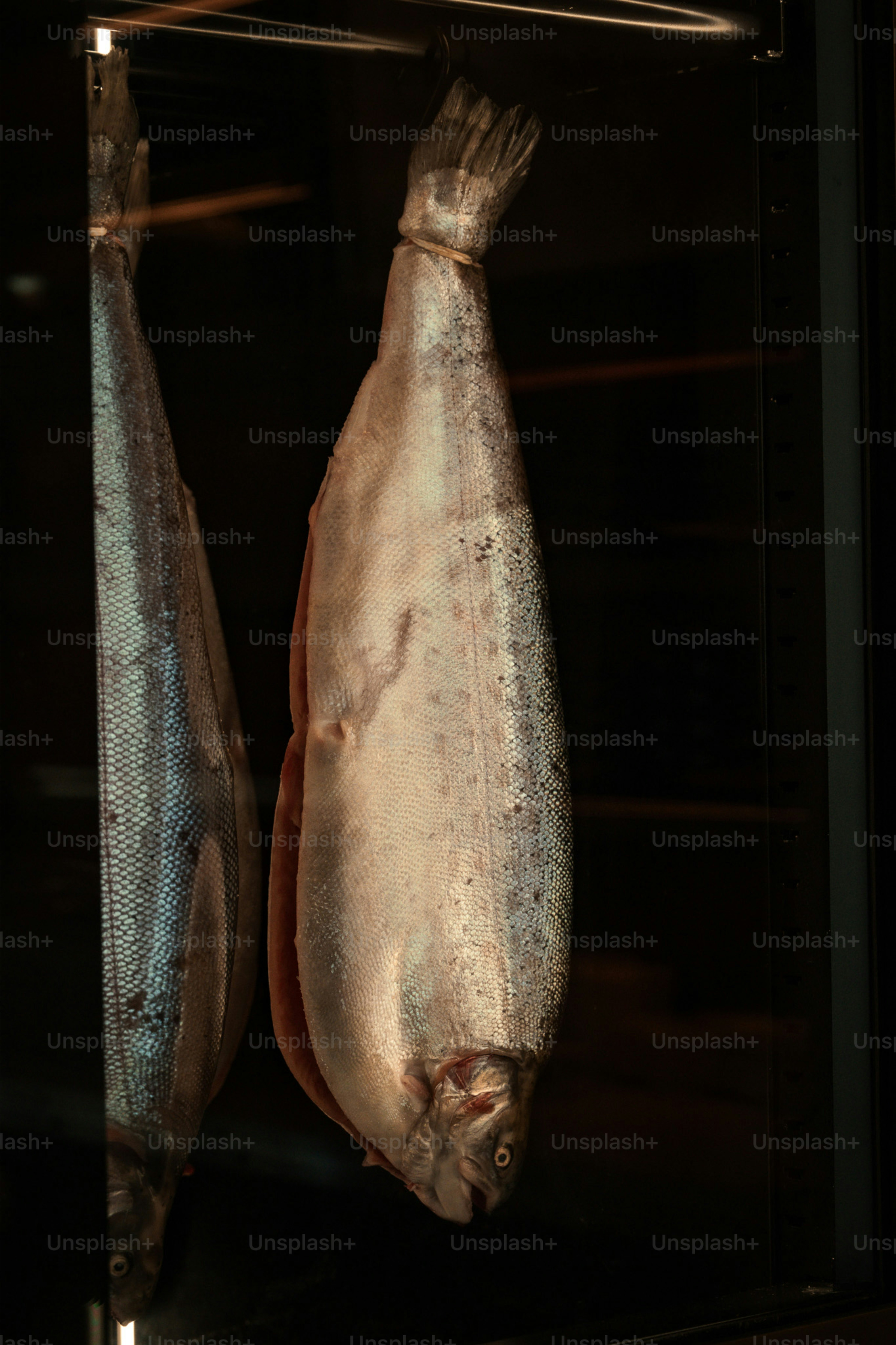 Due pesci interi appesi in uno spazio buio.