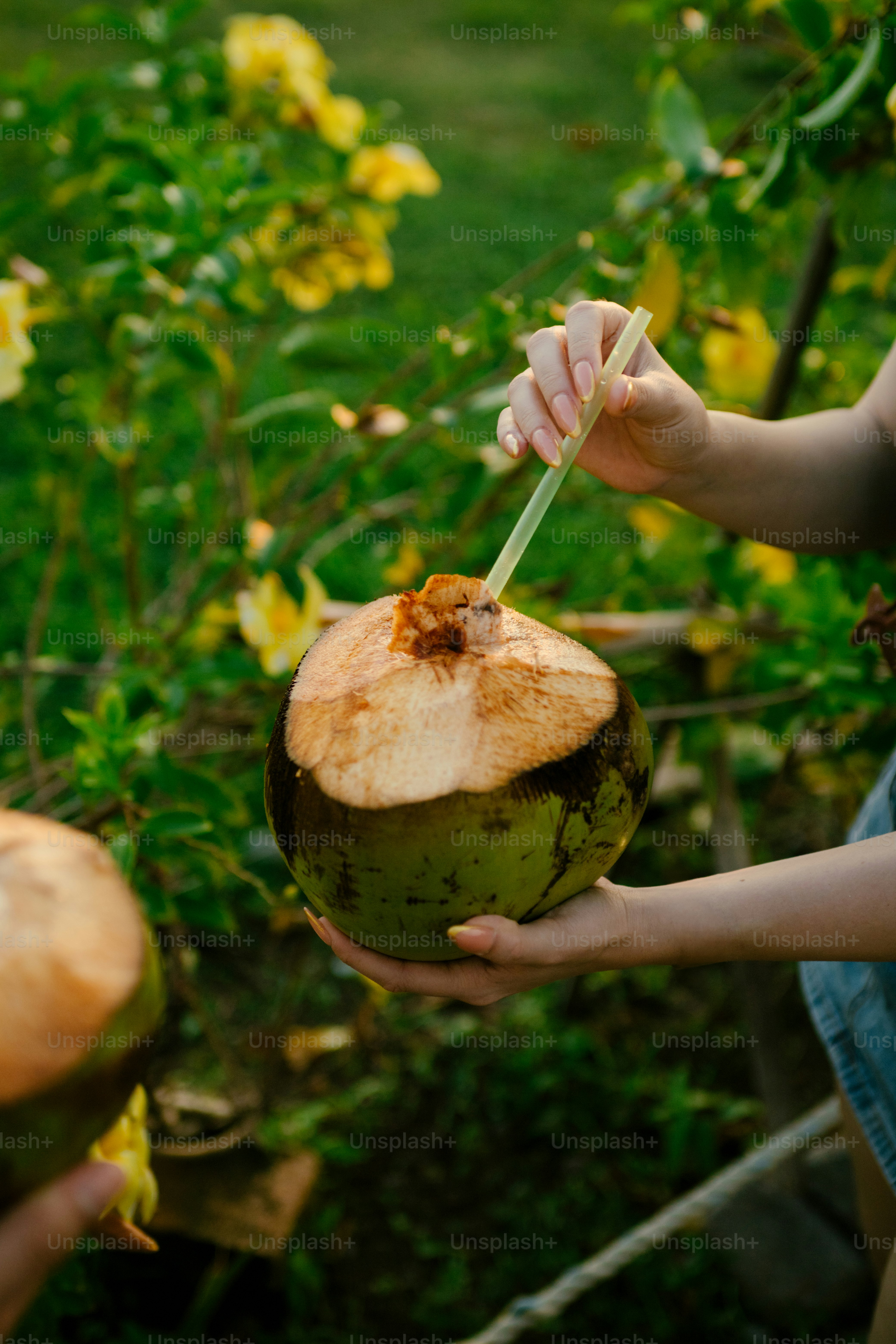 Hands holding a fresh coconut with a straw.