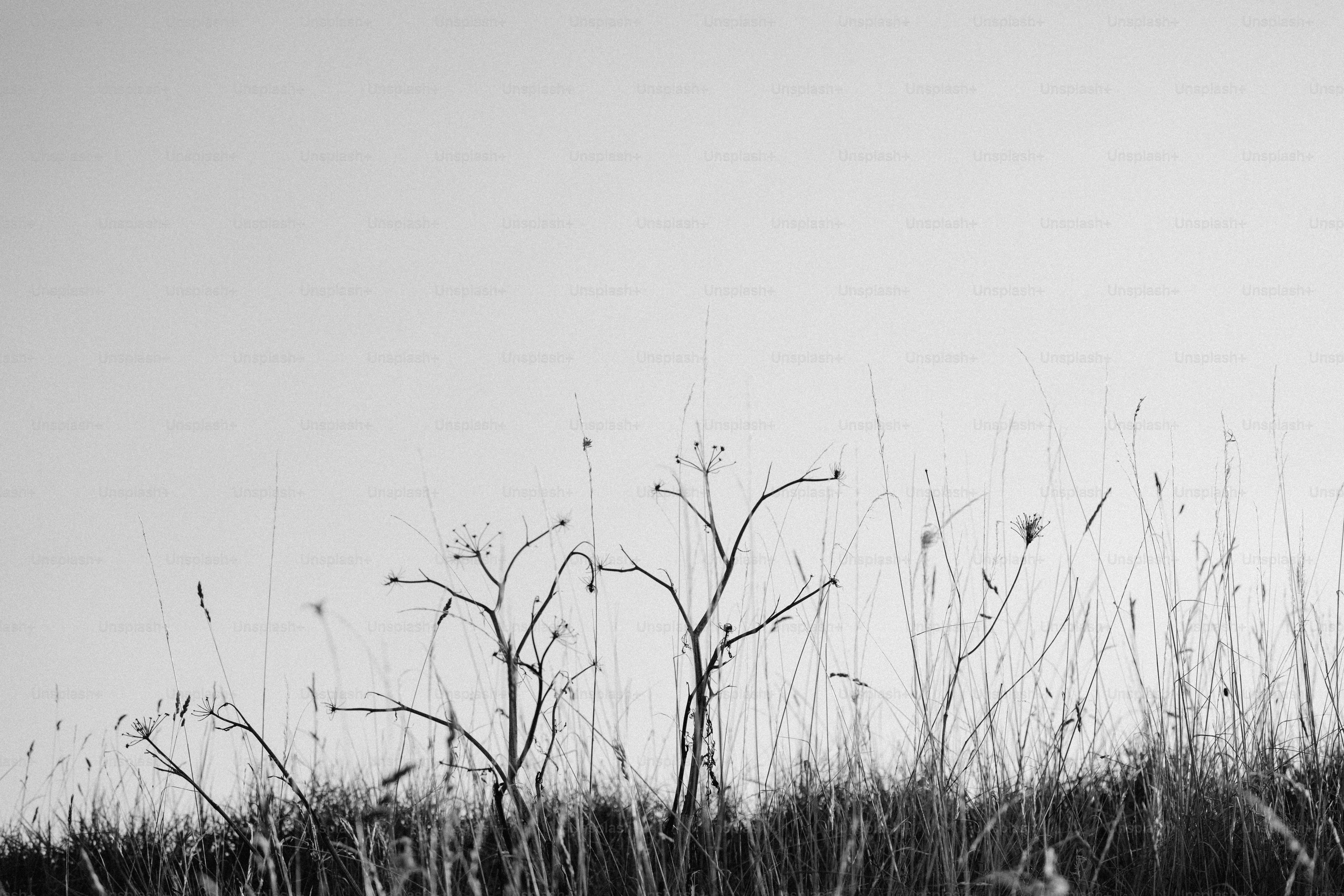 premium_photo-1755867369820-00637b14896b?ixid=M3wxMjA3fDB8MXxzZWFyY2h8NHx8aGlnaHN0YWtlcyUyMHN3ZWVwc3xlbnwwfHx8fDE3NjUwNTE0MTF8MA\u0026ixlib=rb-4.1.0