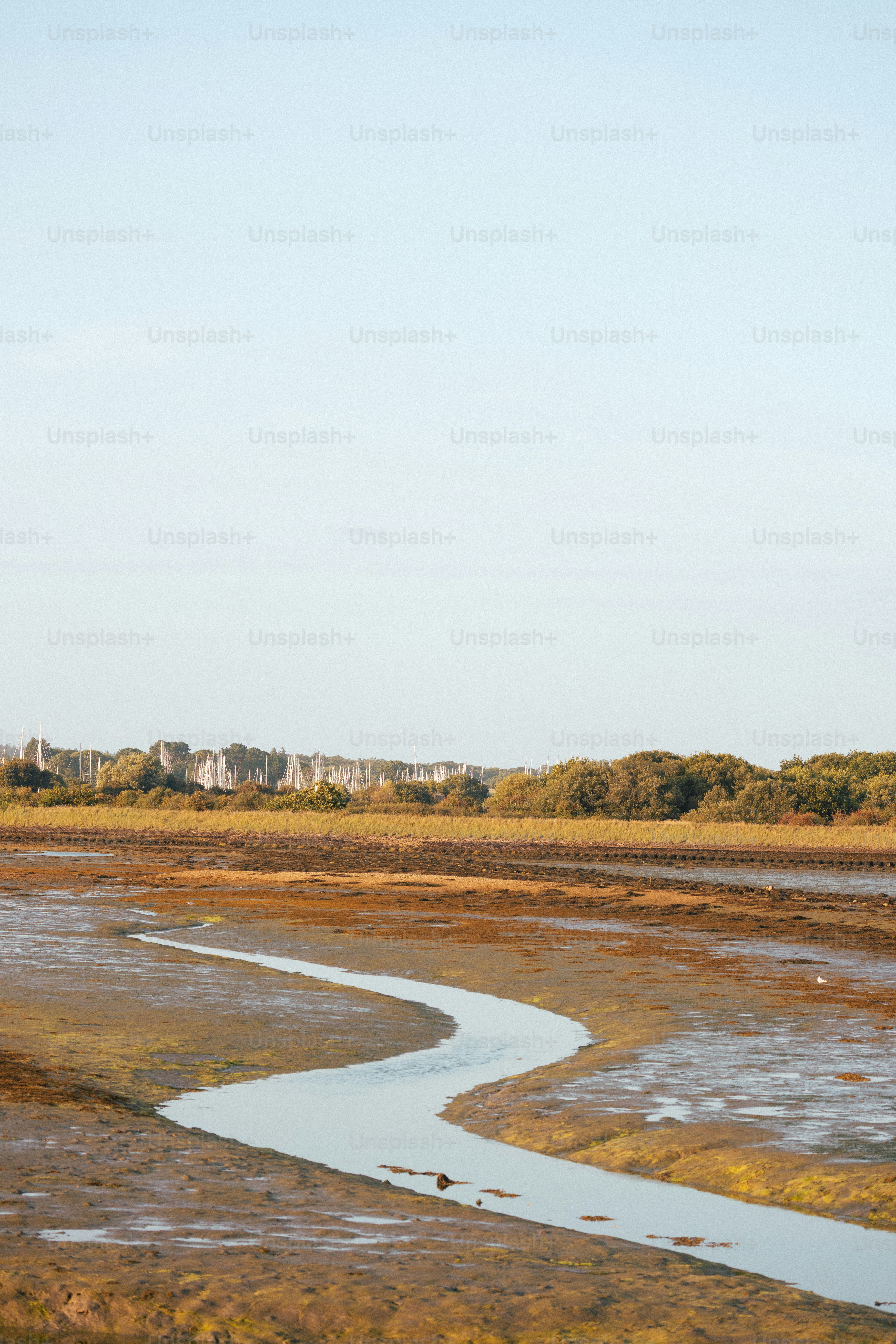 A winding river flows through a marshy landscape.