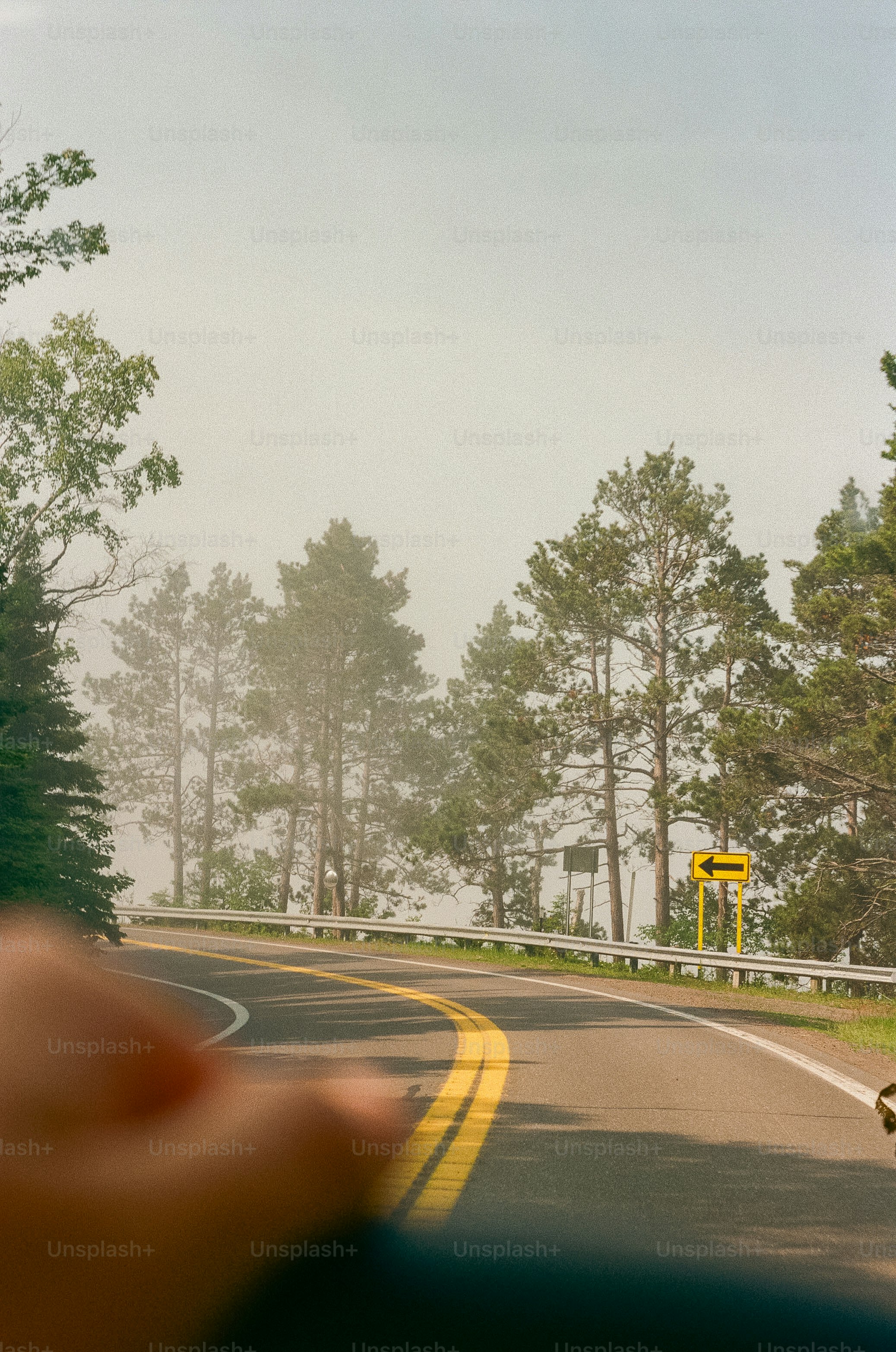 Estrada curvada através de árvores nebulosas com sinal direcional amarelo.