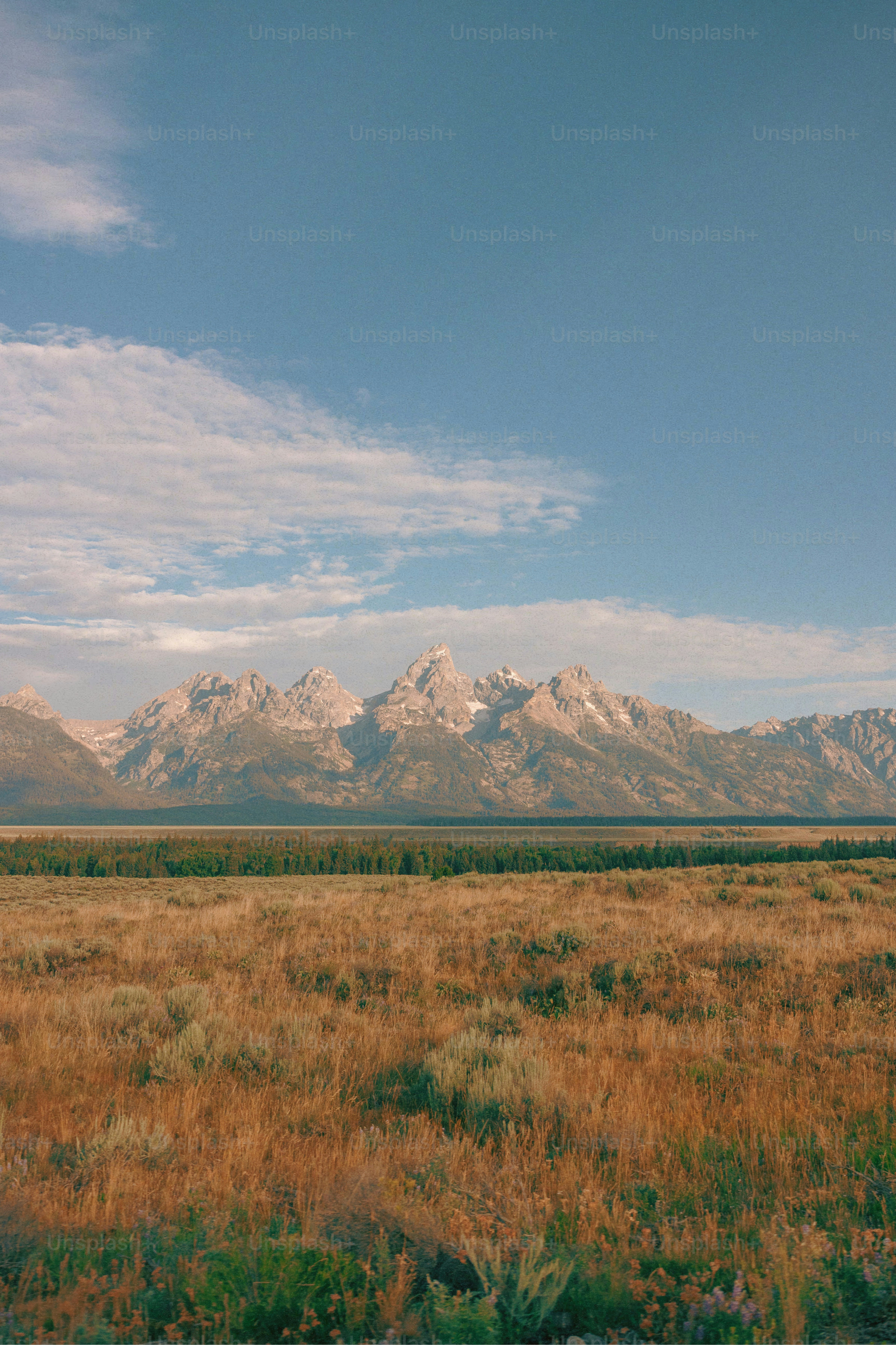 Zerklüftete Berge erheben sich über einer weiten Grasebene.