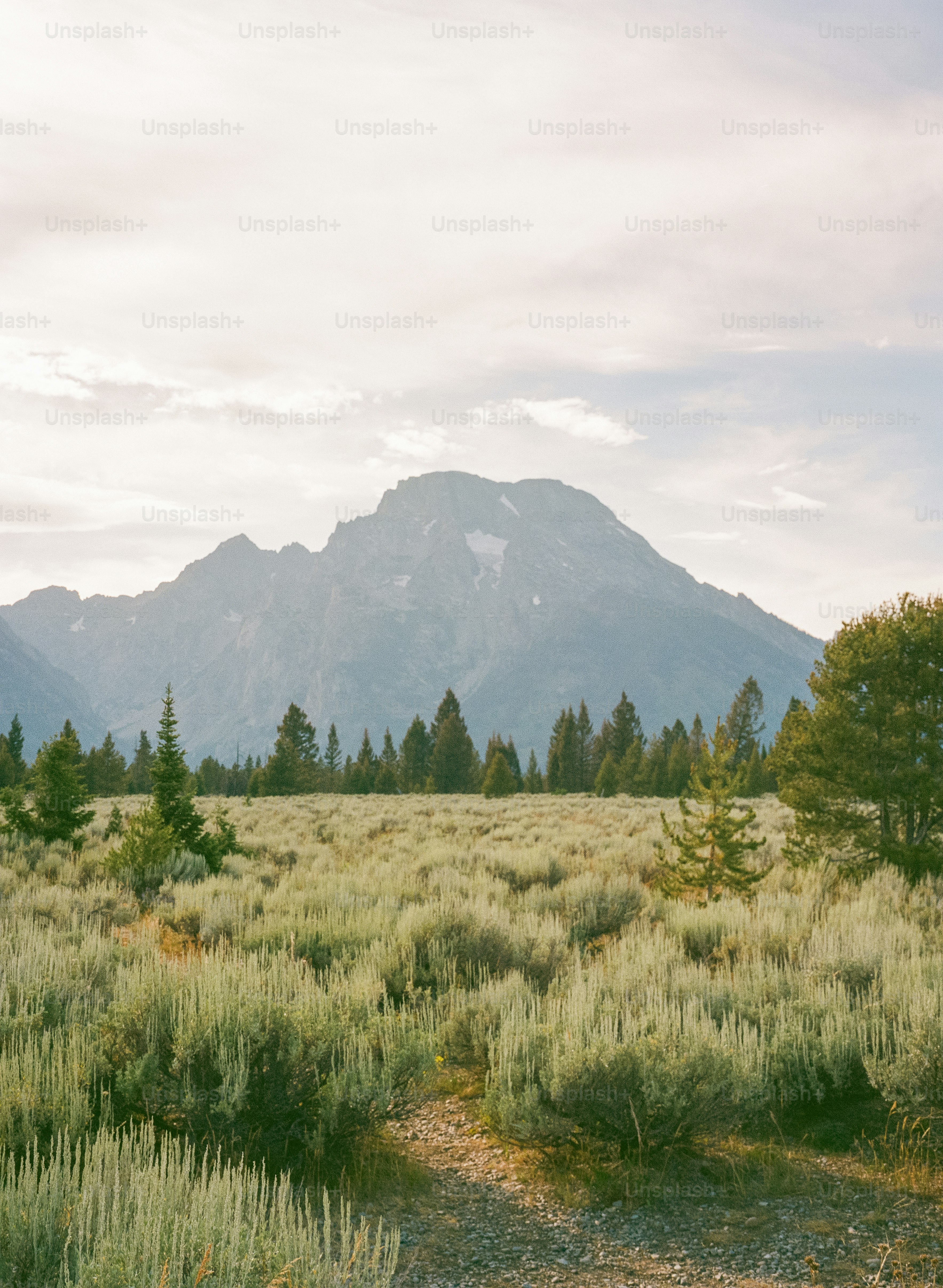 Berglandschaft mit Feld und Bäumen bei Sonnenuntergang