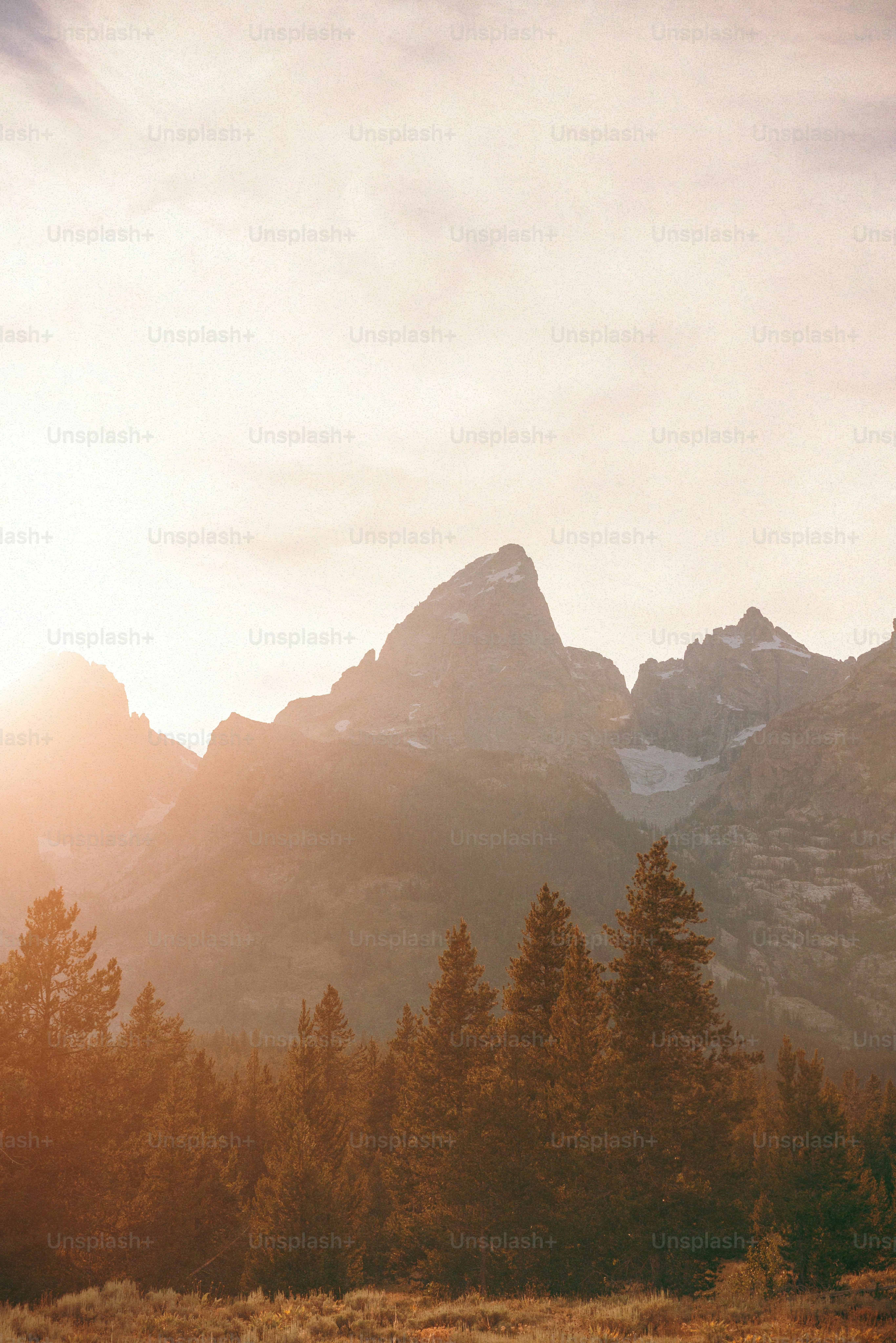 Nascer do sol sobre uma majestosa cordilheira com pinheiros.