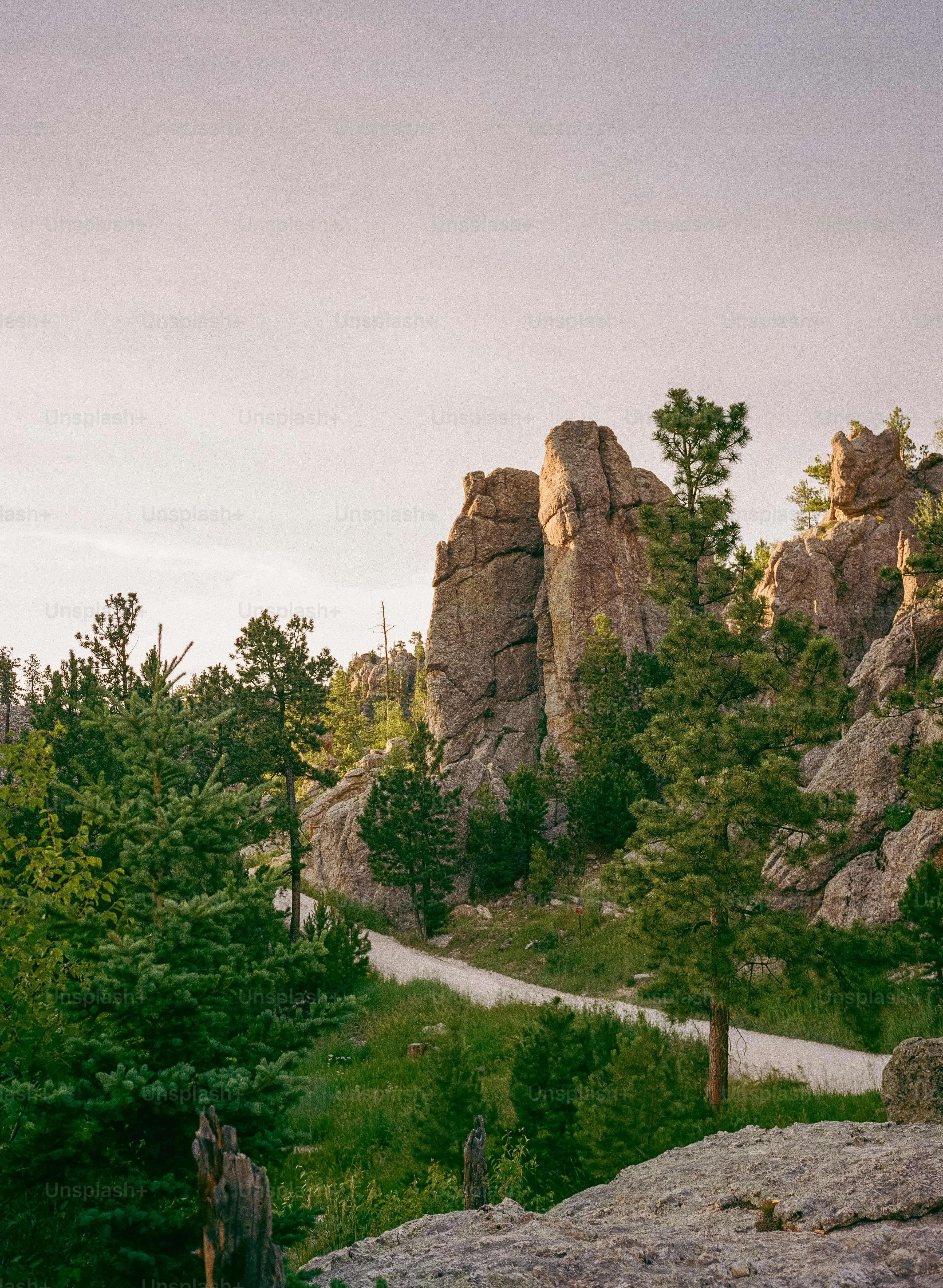 Rocky path through a forest with tall rock formations.