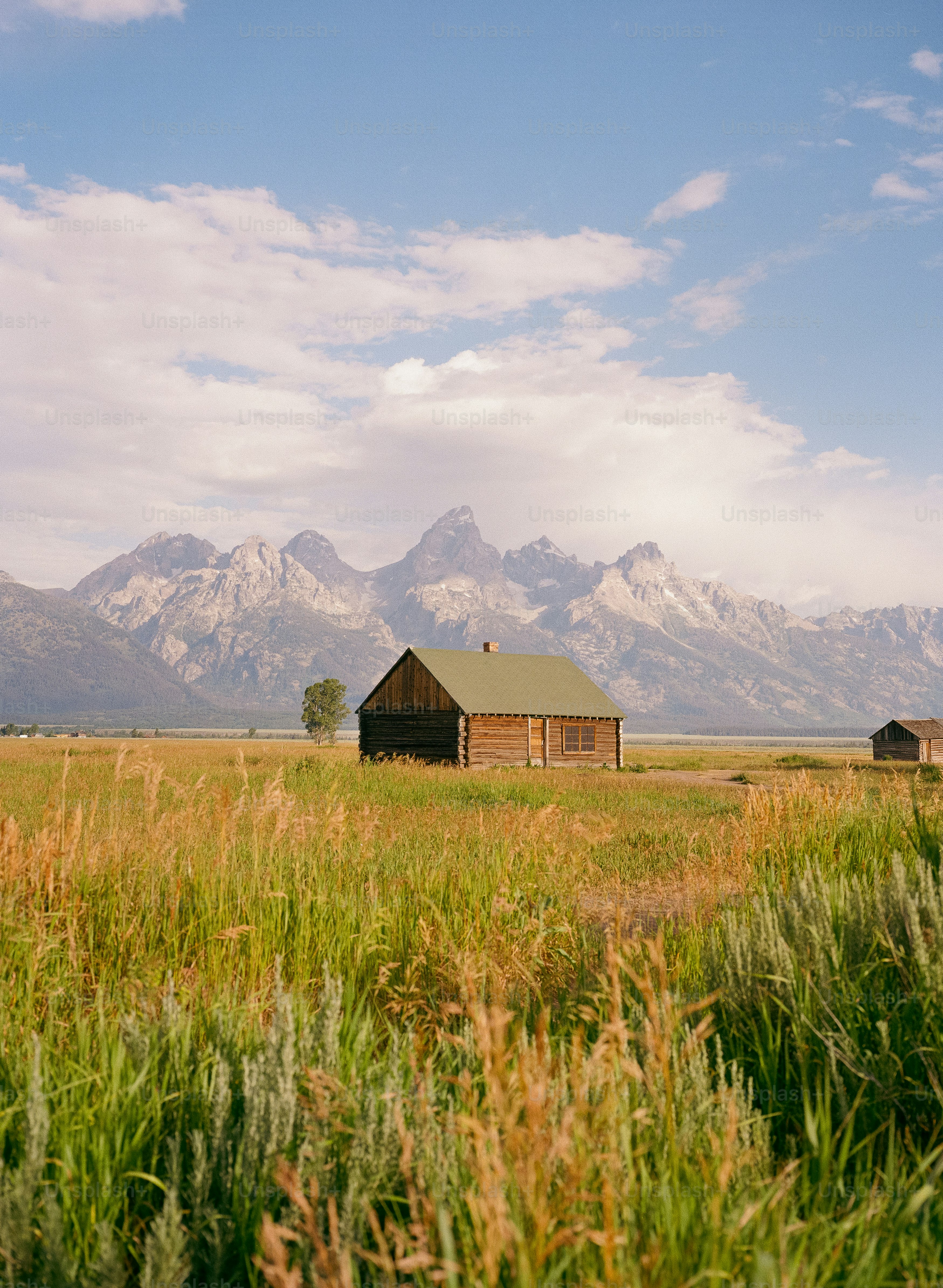 Cabana de madeira em um campo com montanhas atrás