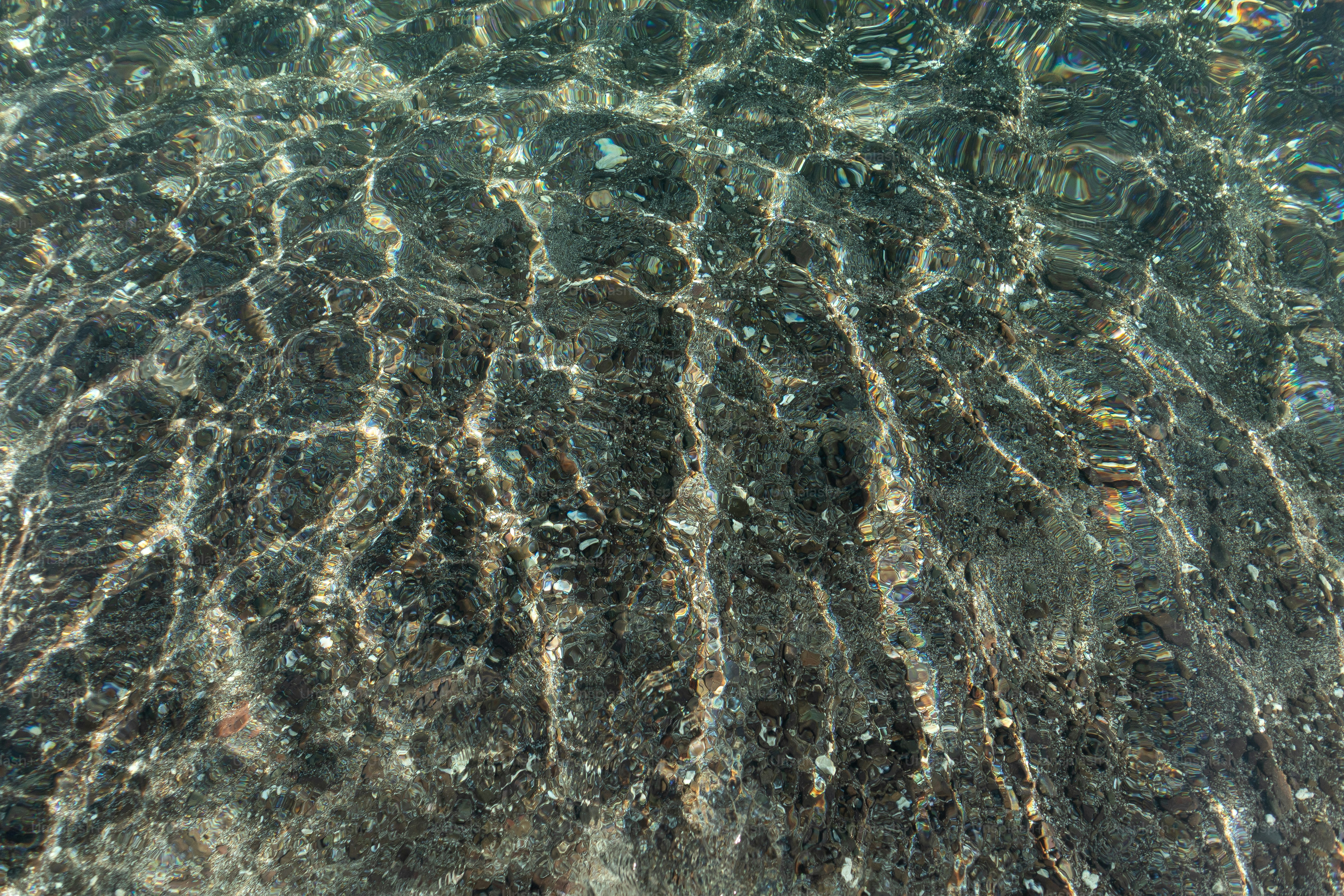 Sunlight patterns on a dark, rocky seabed.