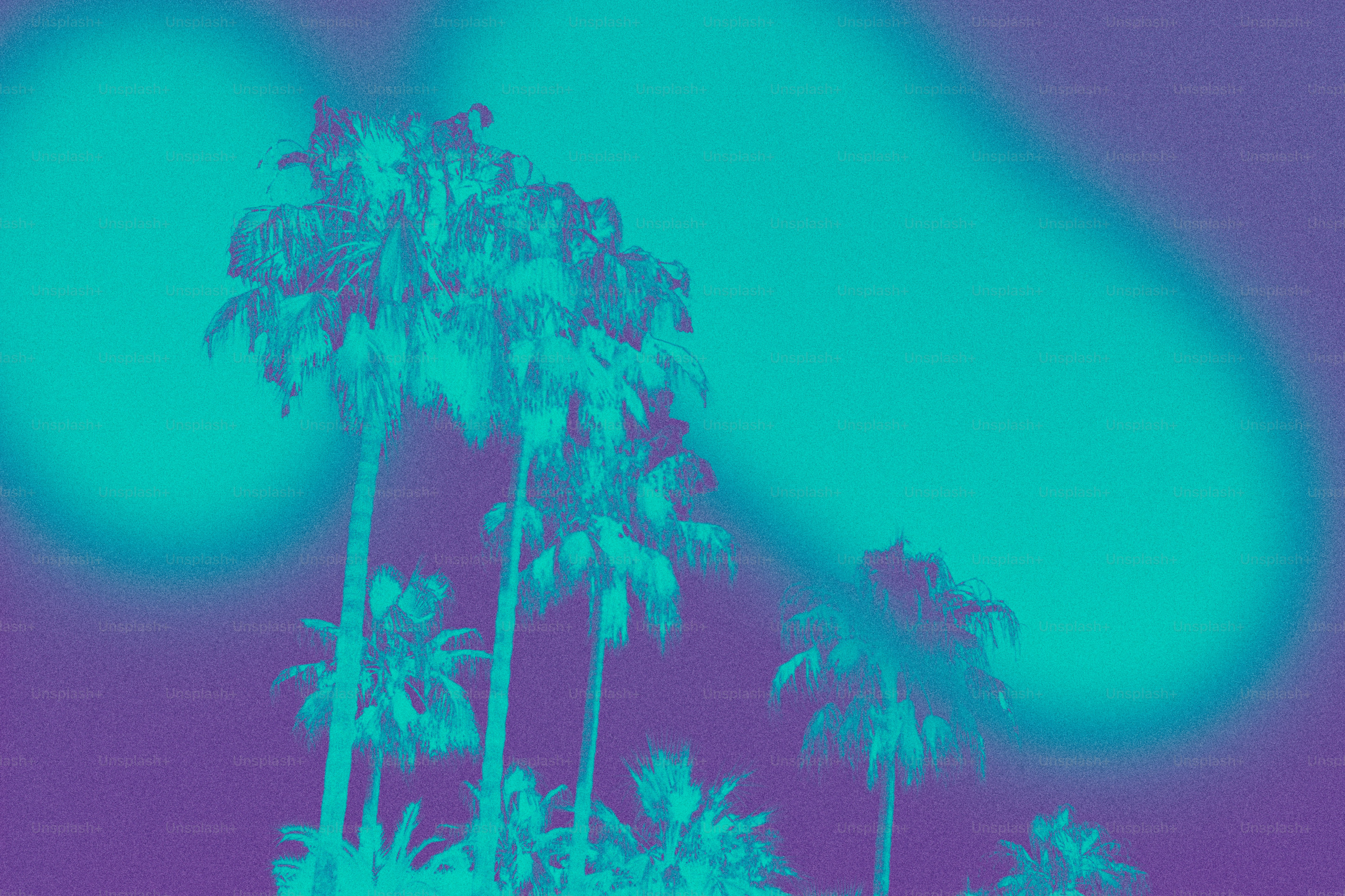 Palm trees against a vibrant purple and teal sky