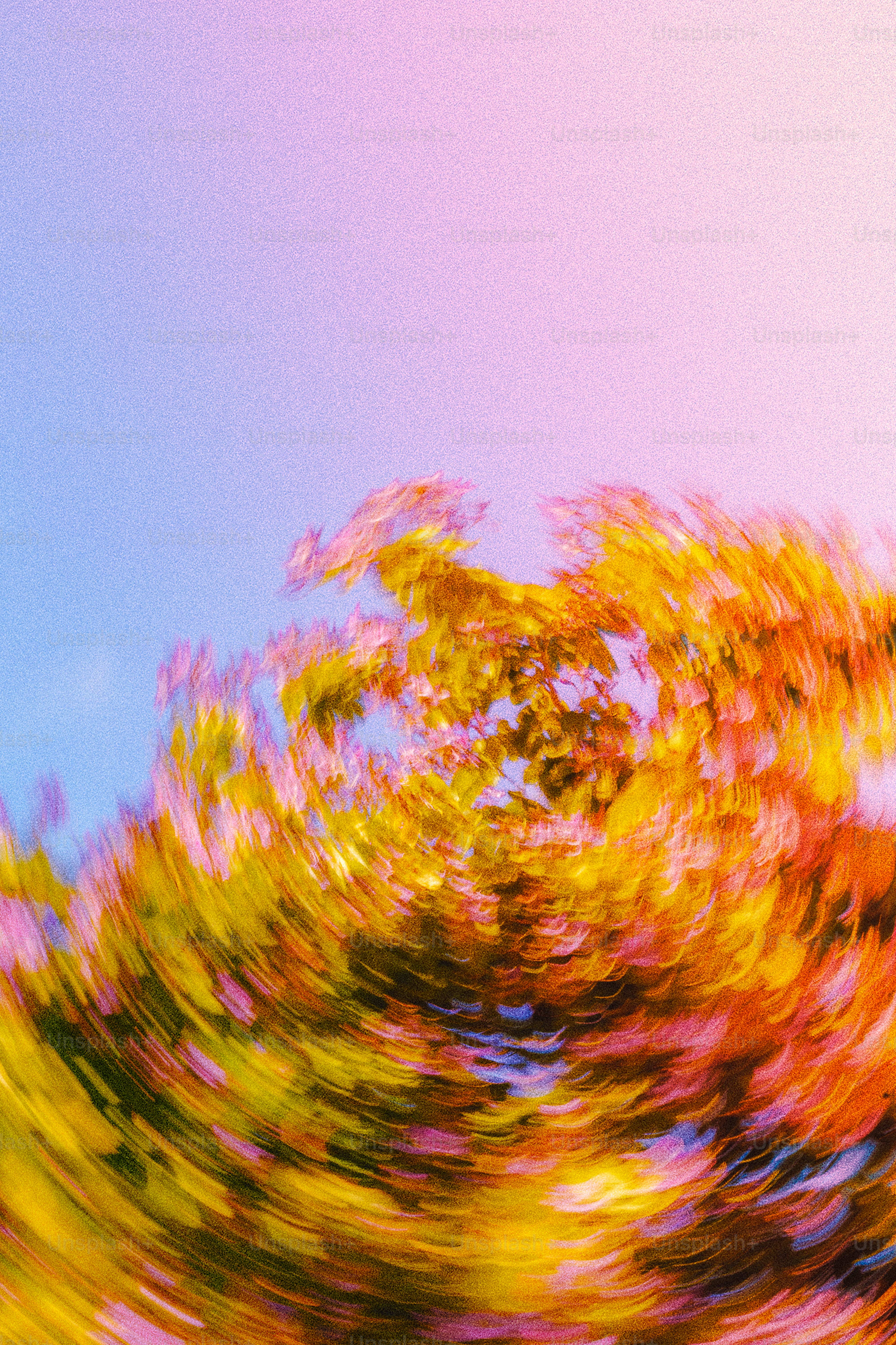 Des feuilles colorées tourbillonnantes contre un ciel pastel