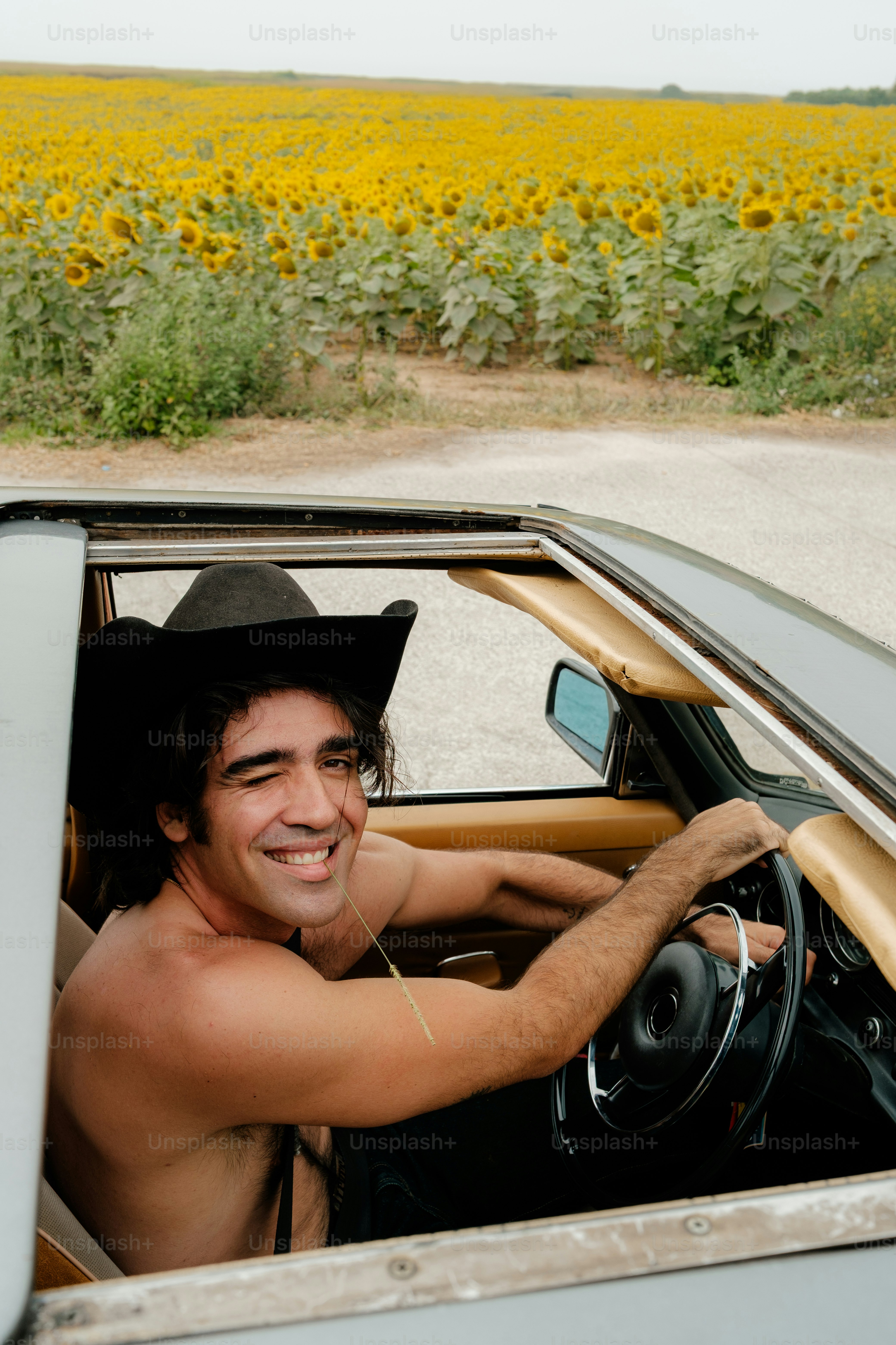 Man in cowboy hat driving car through sunflower field