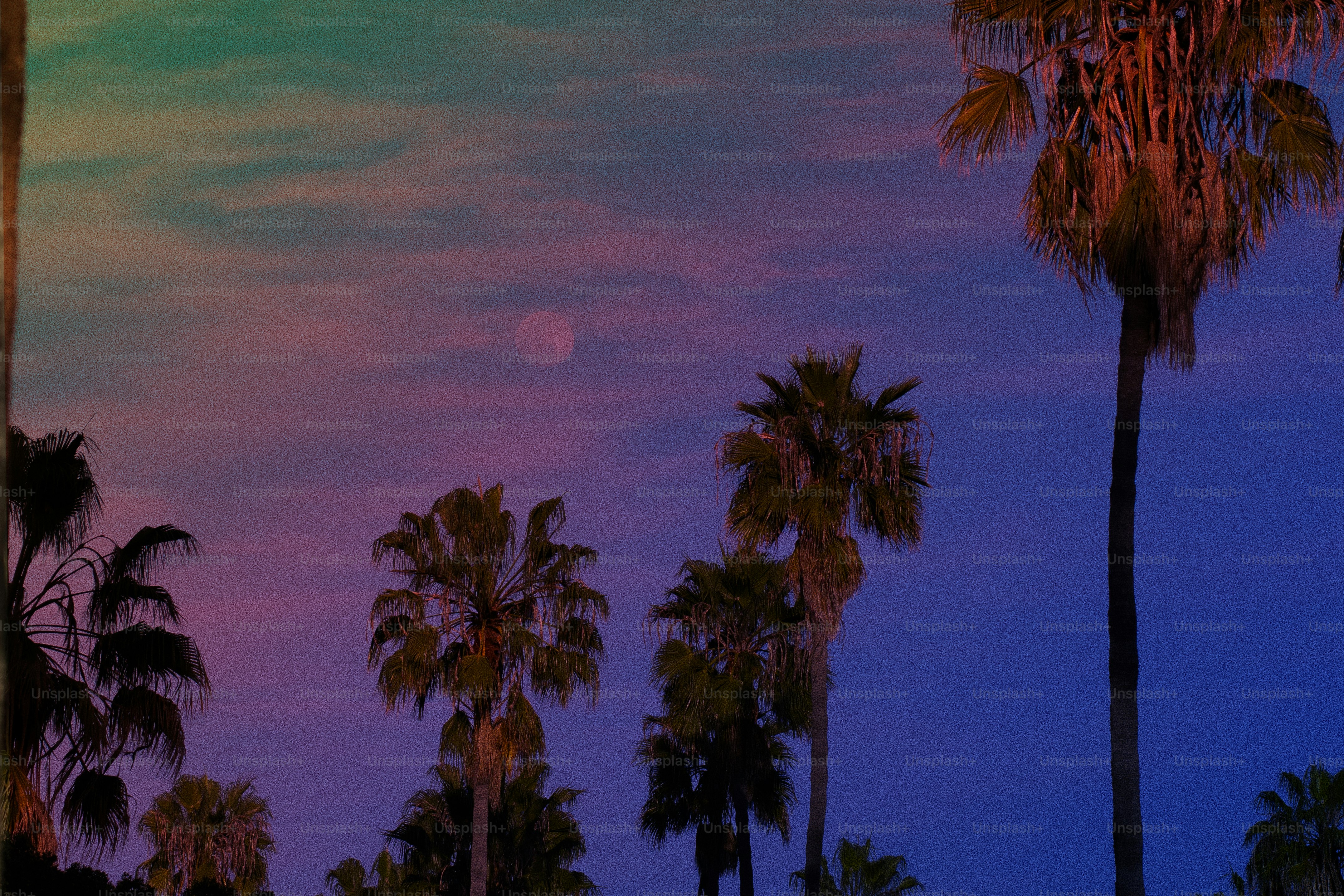 Palm trees silhouetted against a colorful twilight sky.