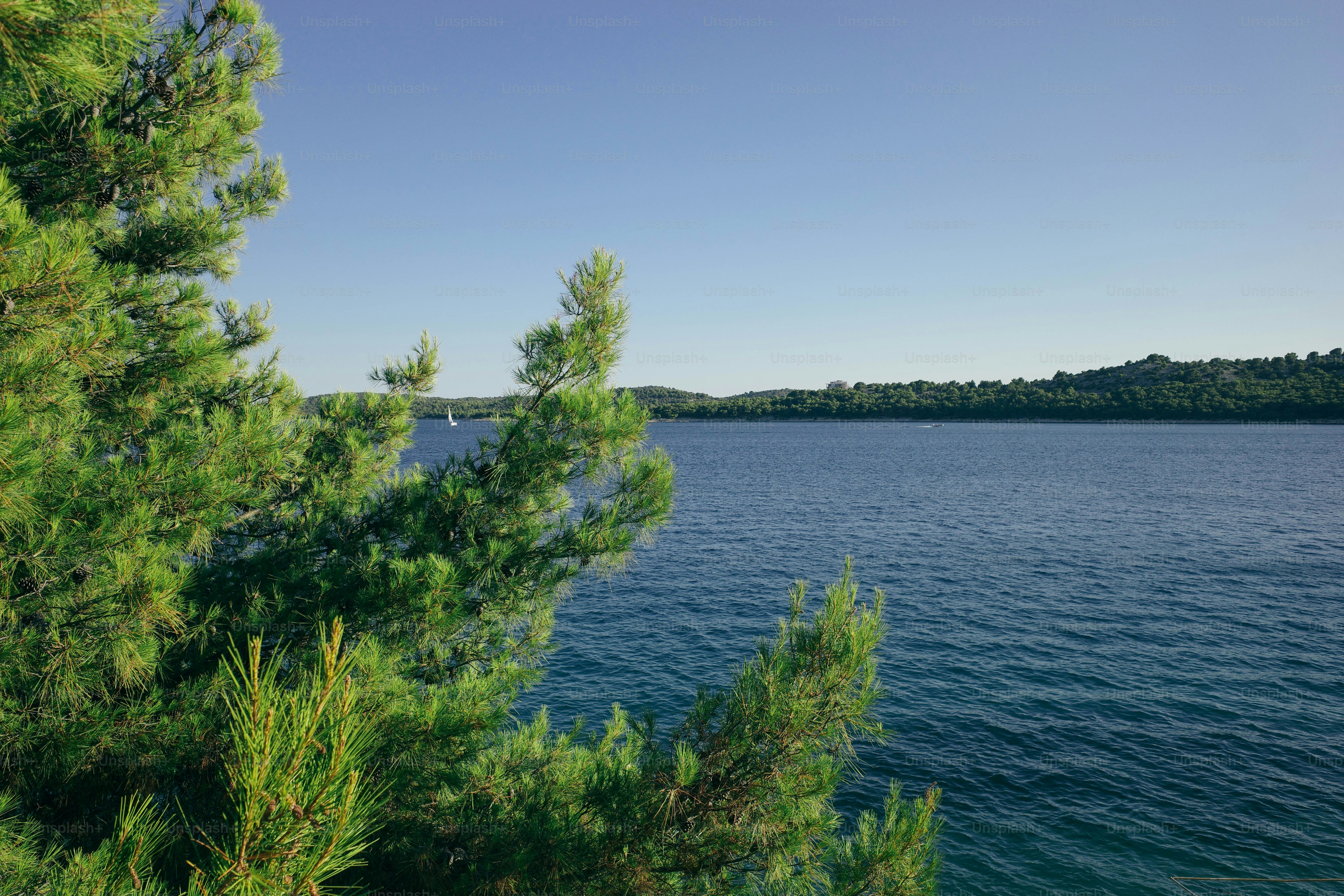 Lake Cathie, New South Wales
