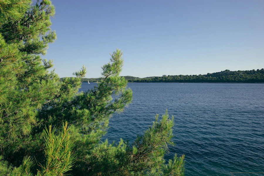 Lake Buyan Viewpoint