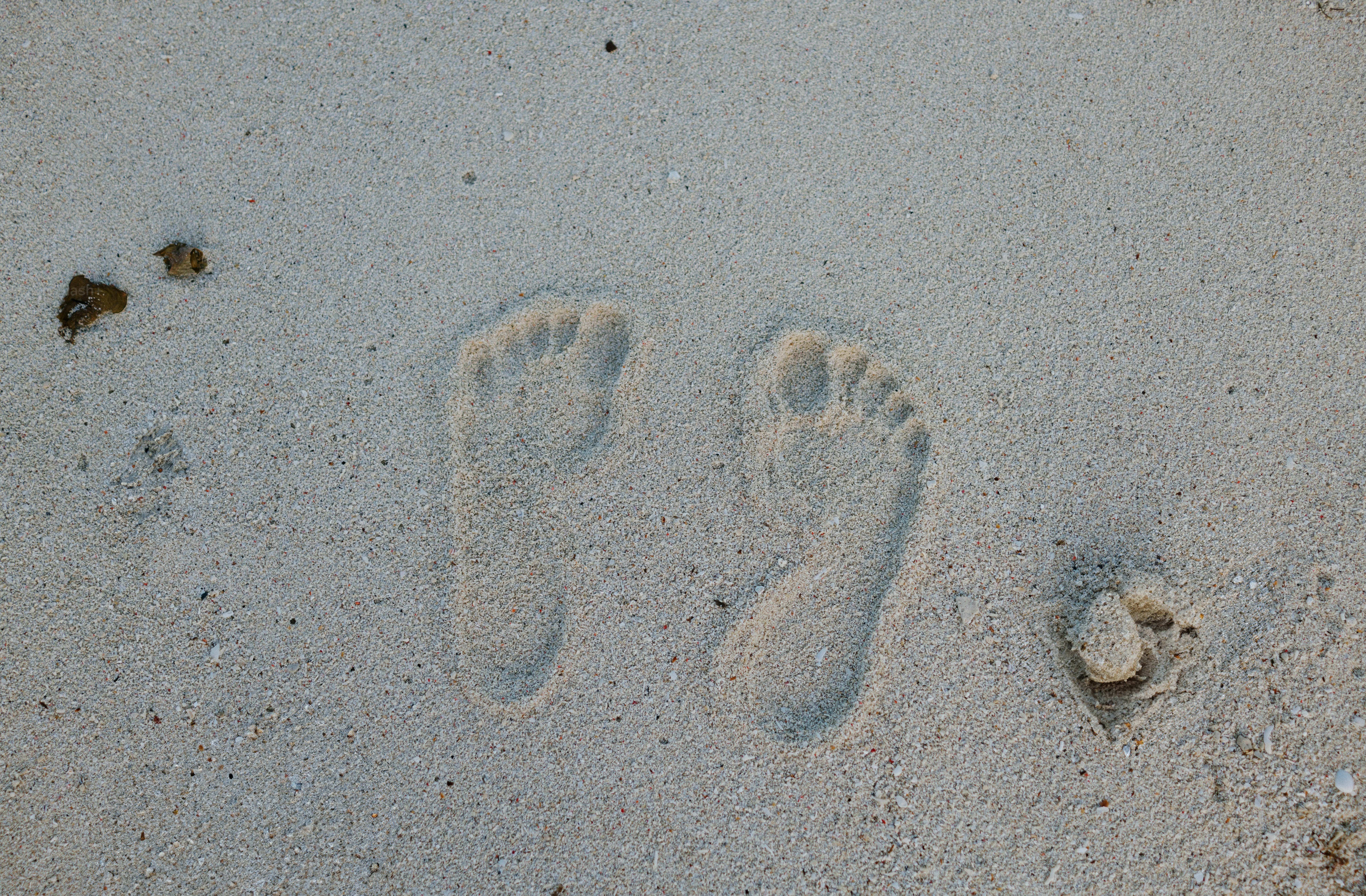 Footprints in the sand on a beach.