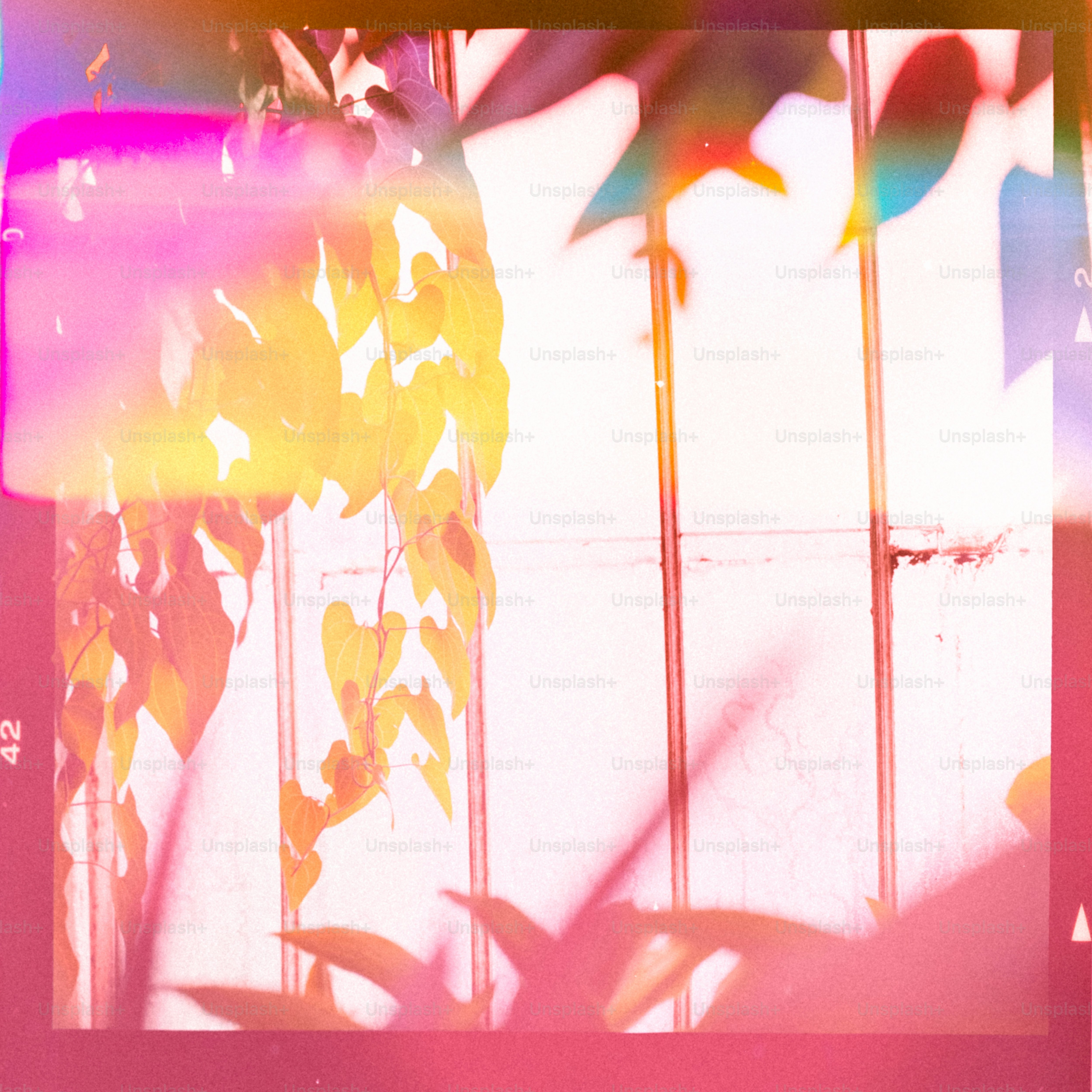 Vibrant plant leaves with colorful light leaks.