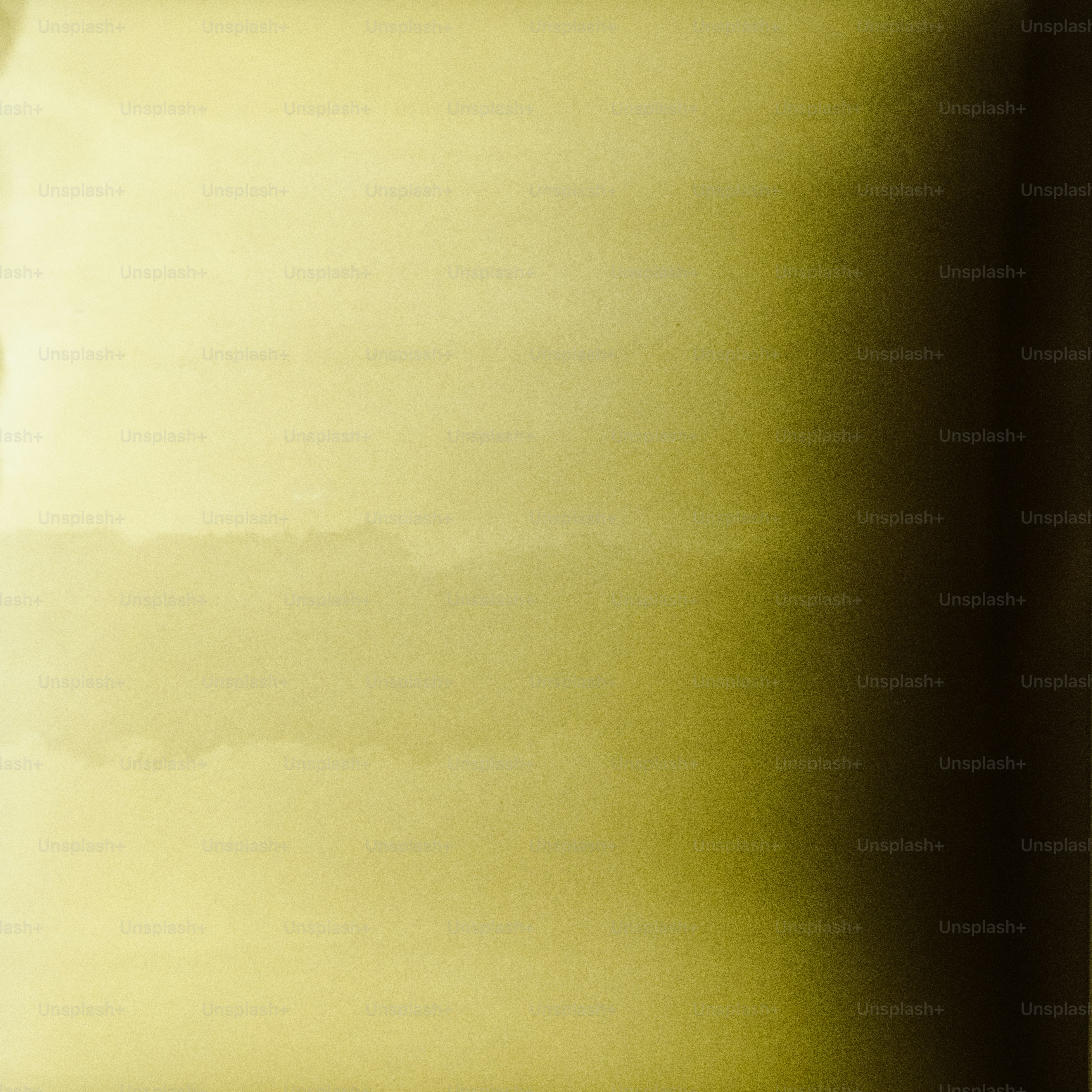 premium_photo-1756215852737-865538e7aed4?ixid=M3wxMjA3fDB8MXxzZWFyY2h8Nnx8bTk4JTIwYmV0fGVufDB8fHx8MTc2MTk3NDkwNHww\u0026ixlib=rb-4.1.0