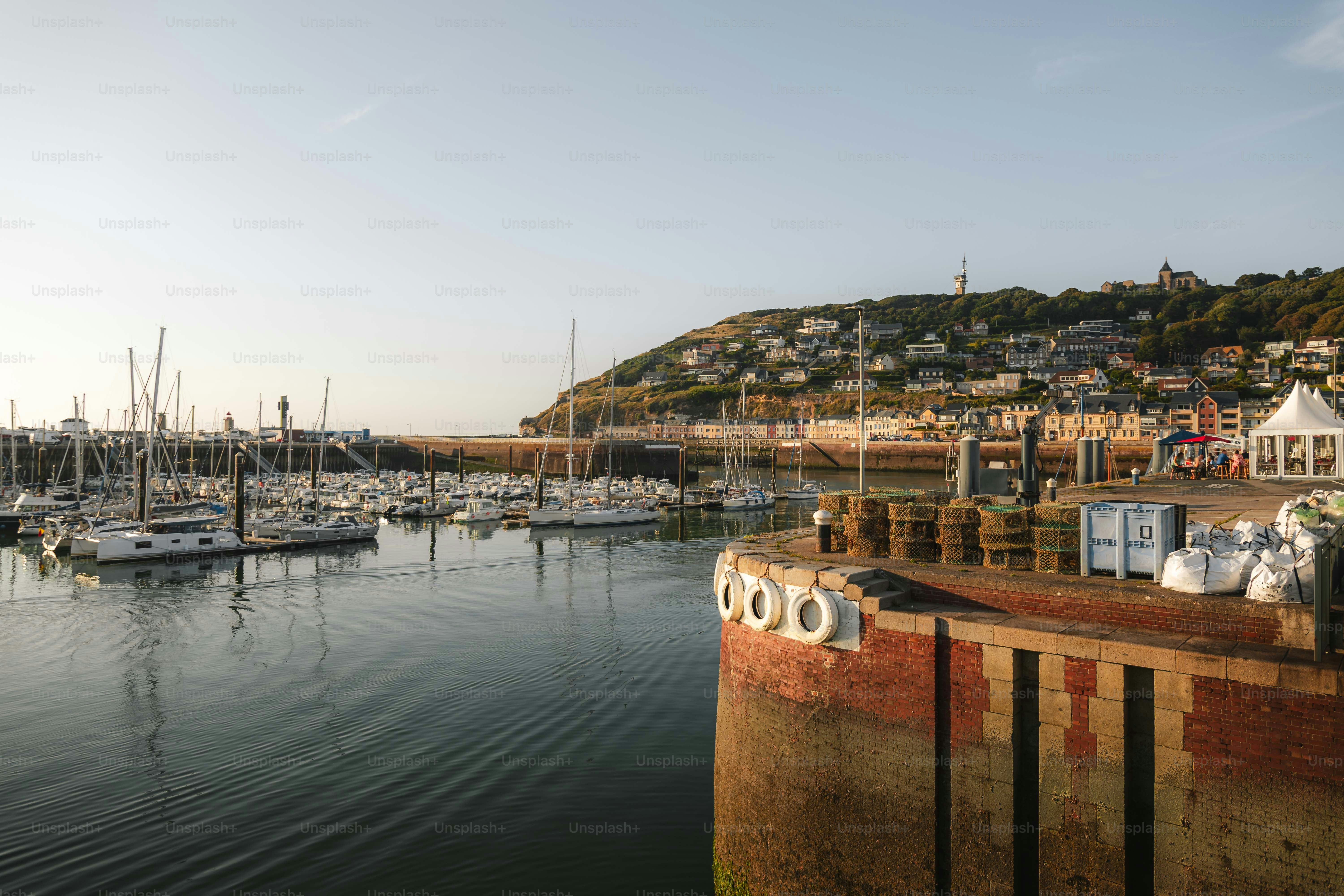 Boats docked in a harbor with a town on a hill.