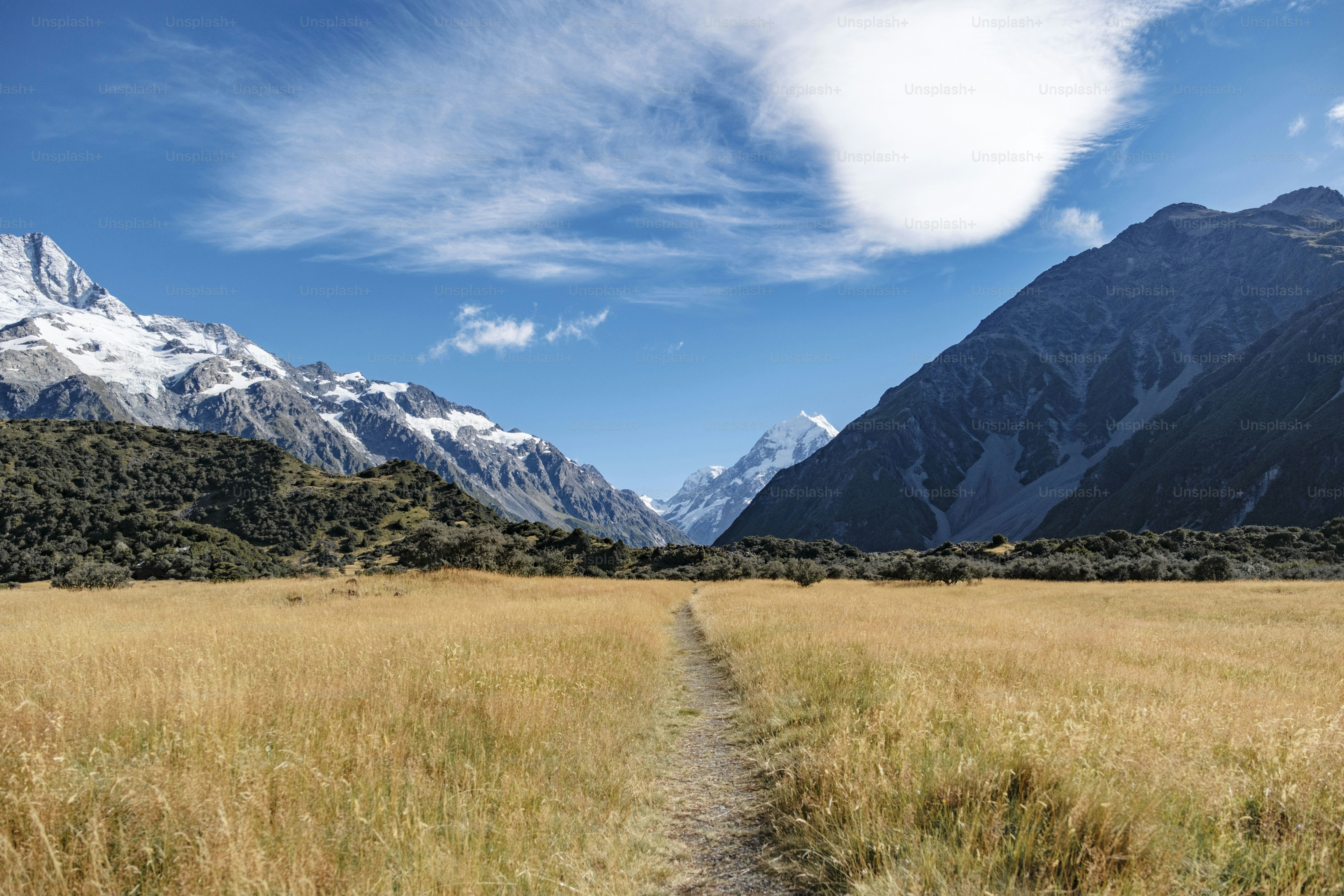 Un camino conduce a través de un campo dorado hacia majestuosas montañas.